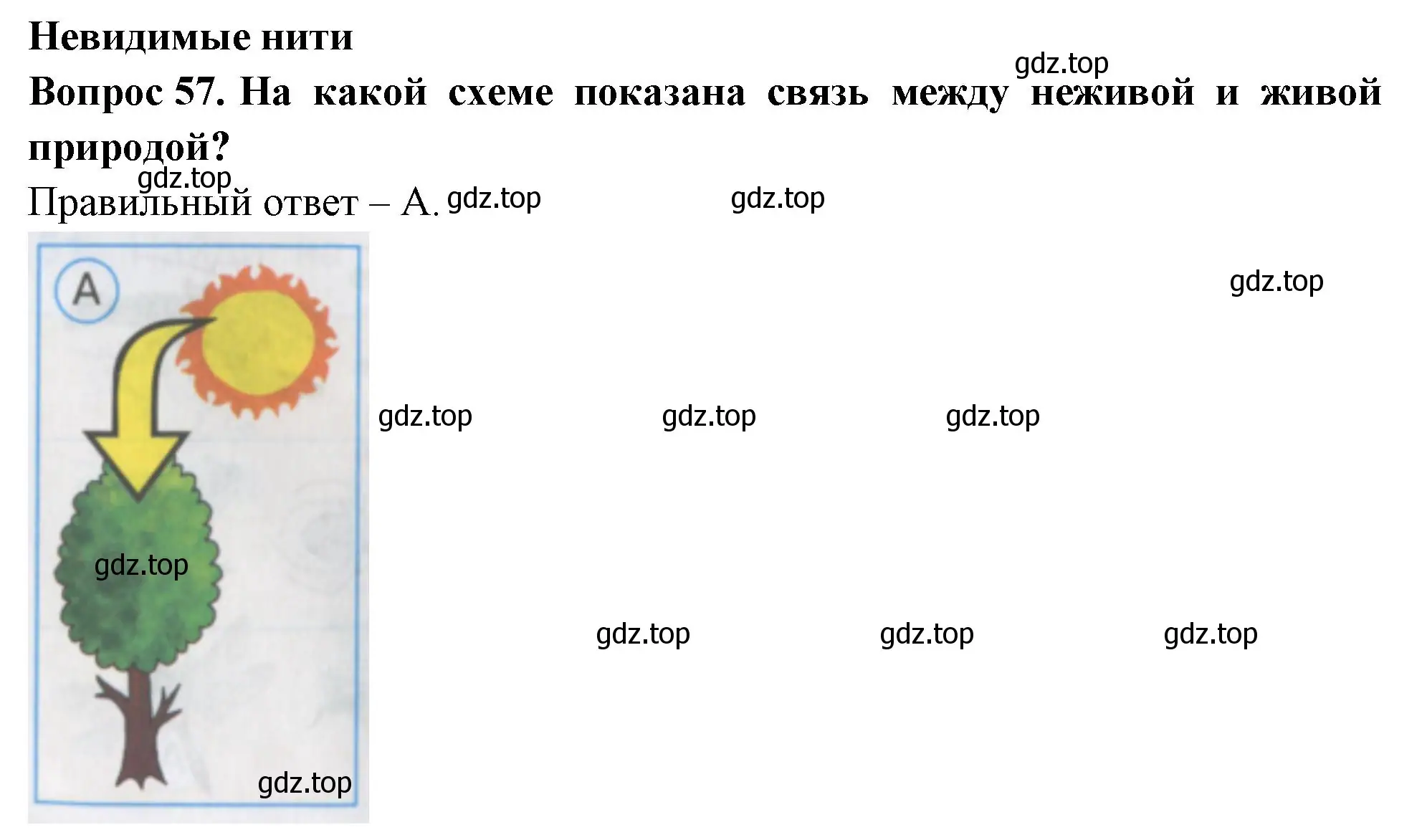 Решение номер 57 (страница 22) гдз по окружающему миру 2 класс Плешаков, Гара, тесты