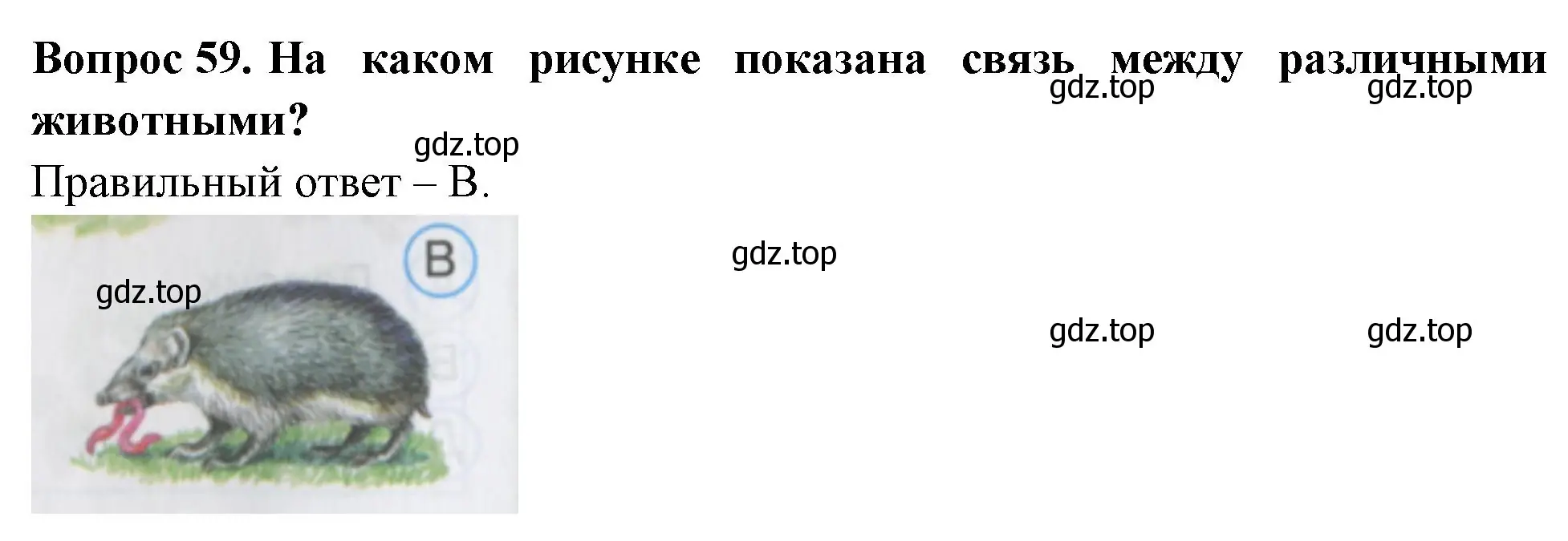 Решение номер 59 (страница 23) гдз по окружающему миру 2 класс Плешаков, Гара, тесты