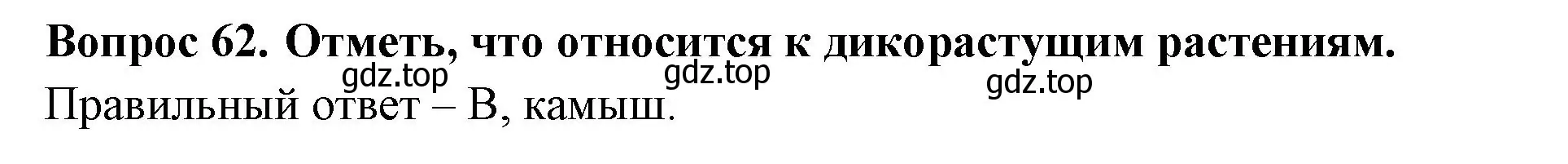 Решение номер 62 (страница 24) гдз по окружающему миру 2 класс Плешаков, Гара, тесты