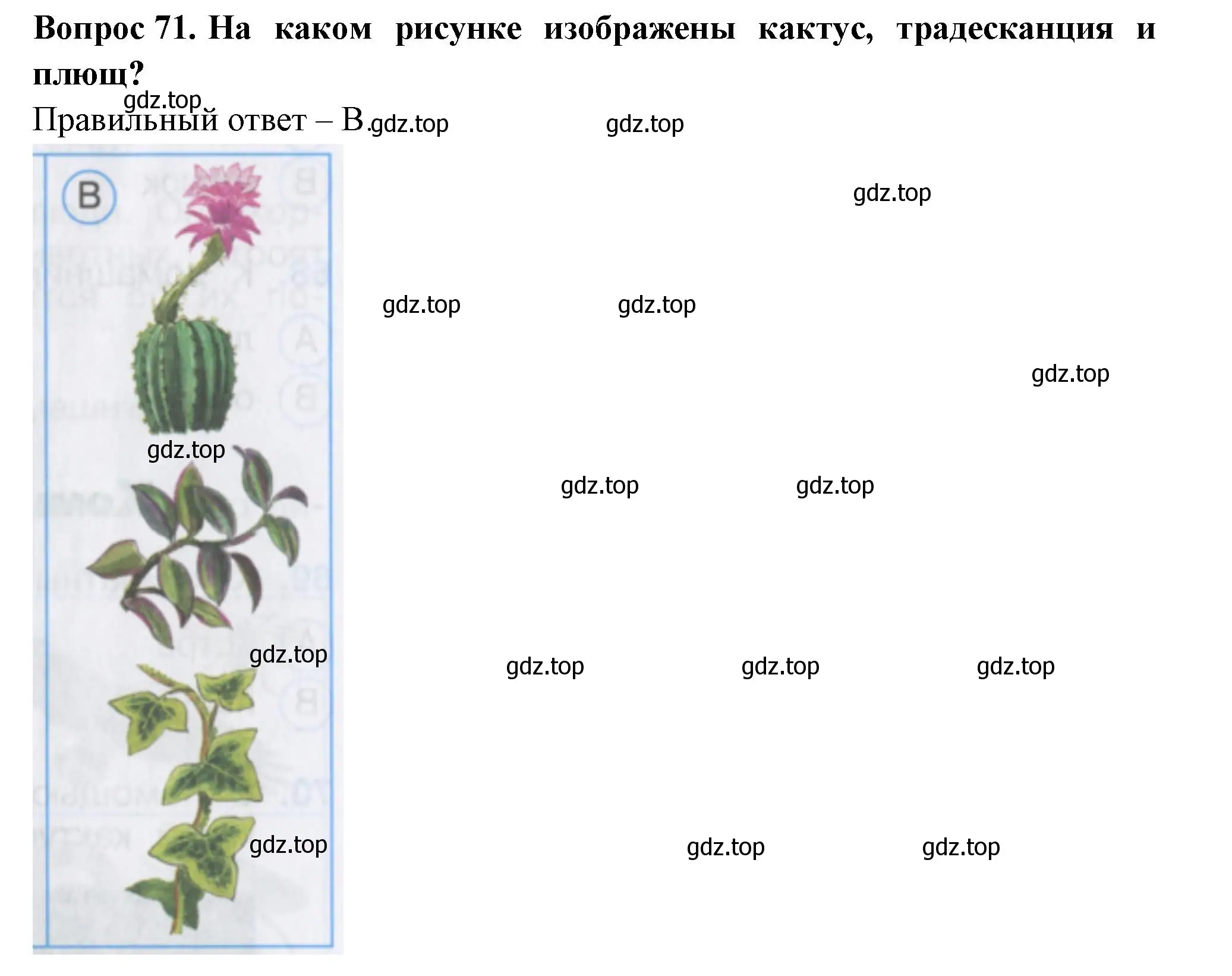 Решение номер 71 (страница 28) гдз по окружающему миру 2 класс Плешаков, Гара, тесты