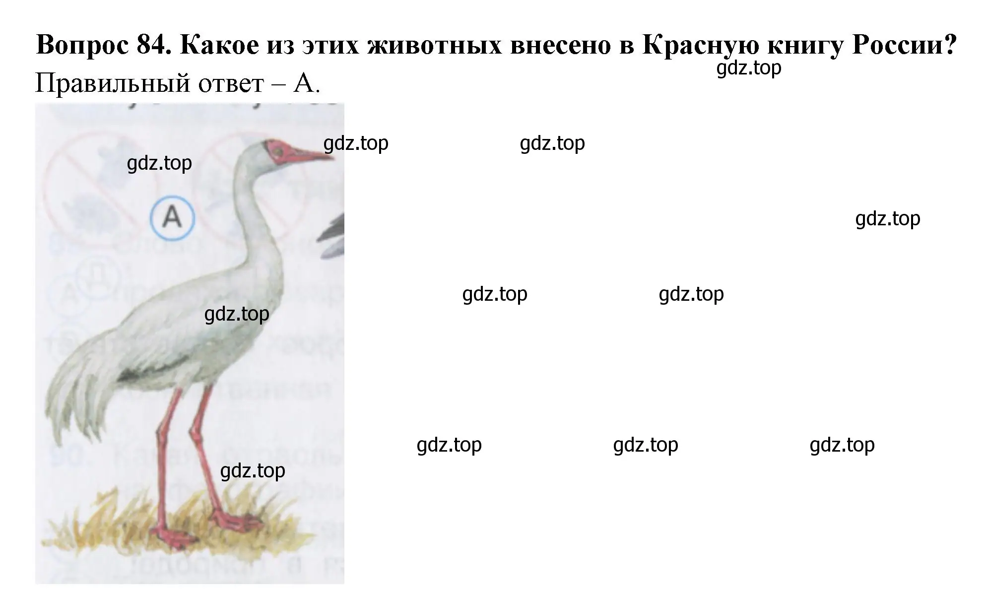 Решение номер 84 (страница 33) гдз по окружающему миру 2 класс Плешаков, Гара, тесты