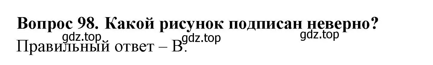 Решение номер 98 (страница 37) гдз по окружающему миру 2 класс Плешаков, Гара, тесты