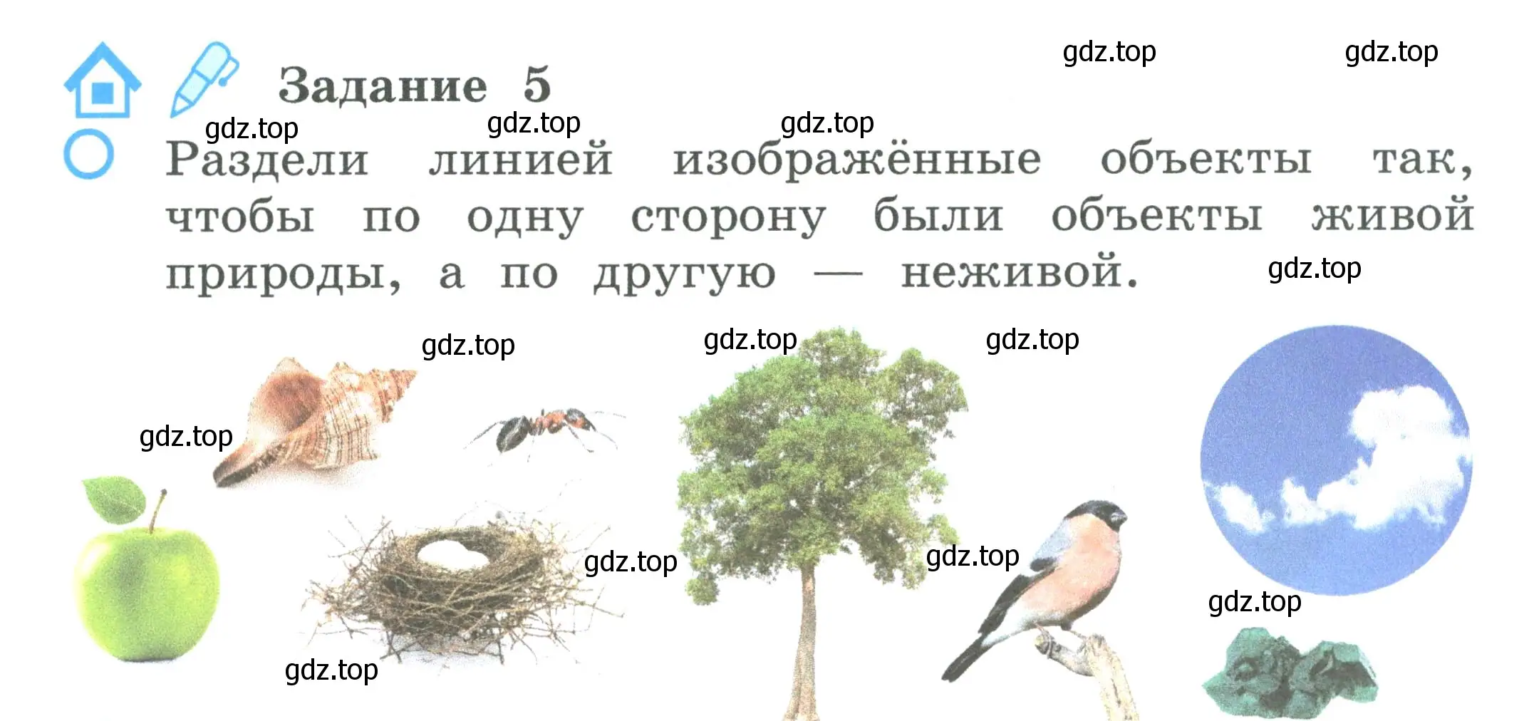 Условие номер 5 (страница 3) гдз по окружающему миру 2 класс Вахрушев, Ловягин, рабочая тетрадь 1 часть