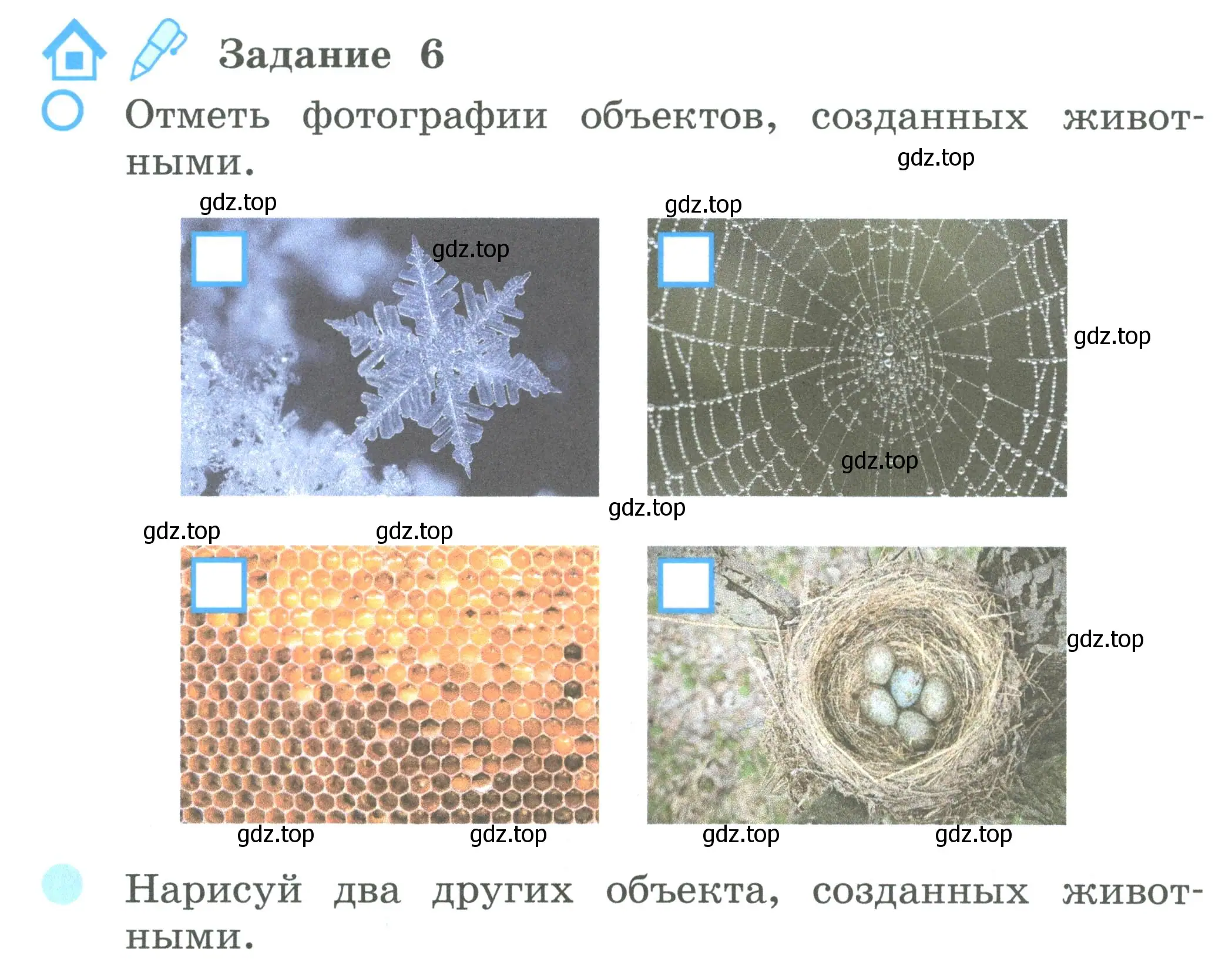 Условие номер 6 (страница 6) гдз по окружающему миру 2 класс Вахрушев, Ловягин, рабочая тетрадь 1 часть