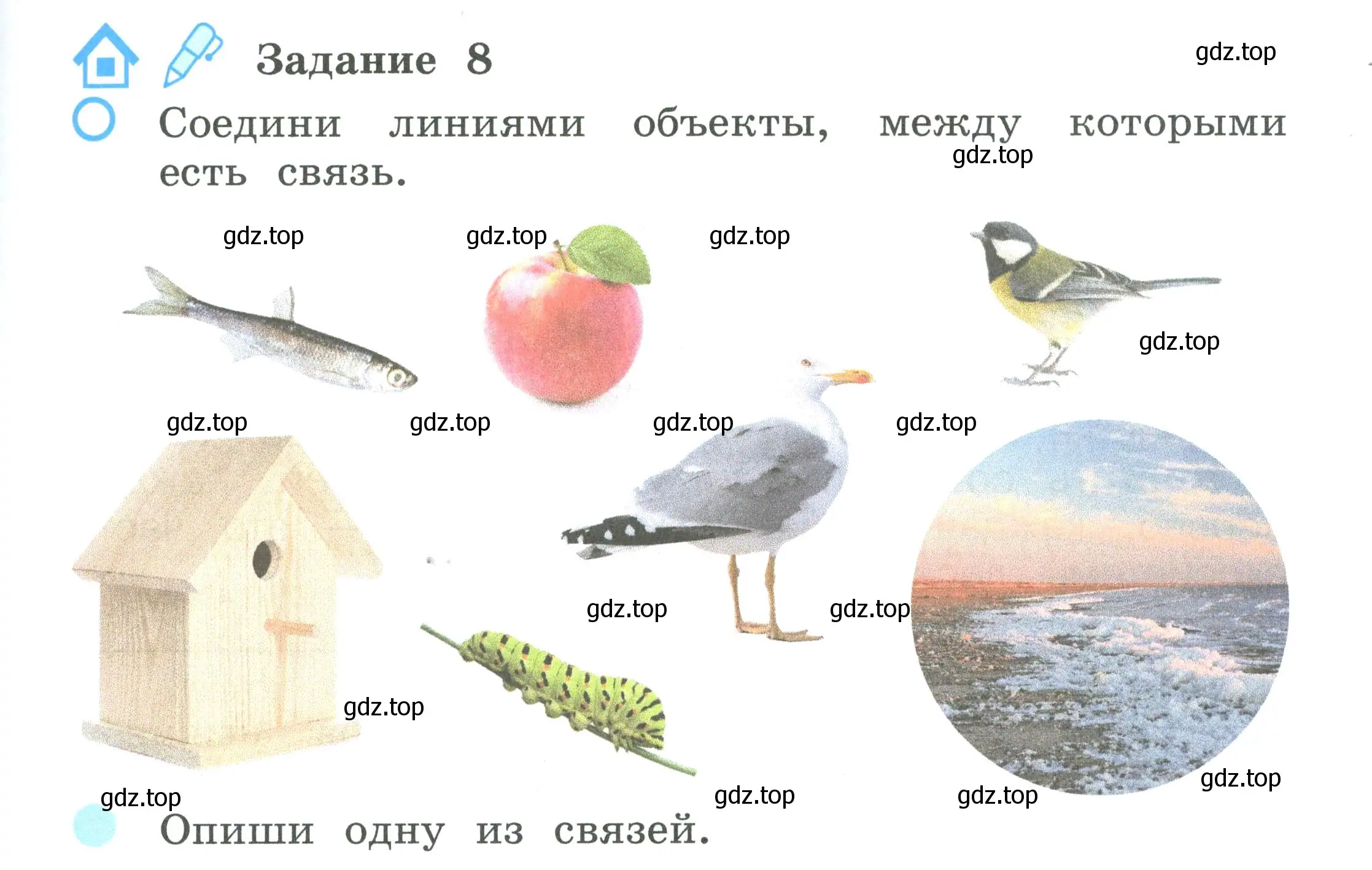 Условие номер 8 (страница 7) гдз по окружающему миру 2 класс Вахрушев, Ловягин, рабочая тетрадь 1 часть