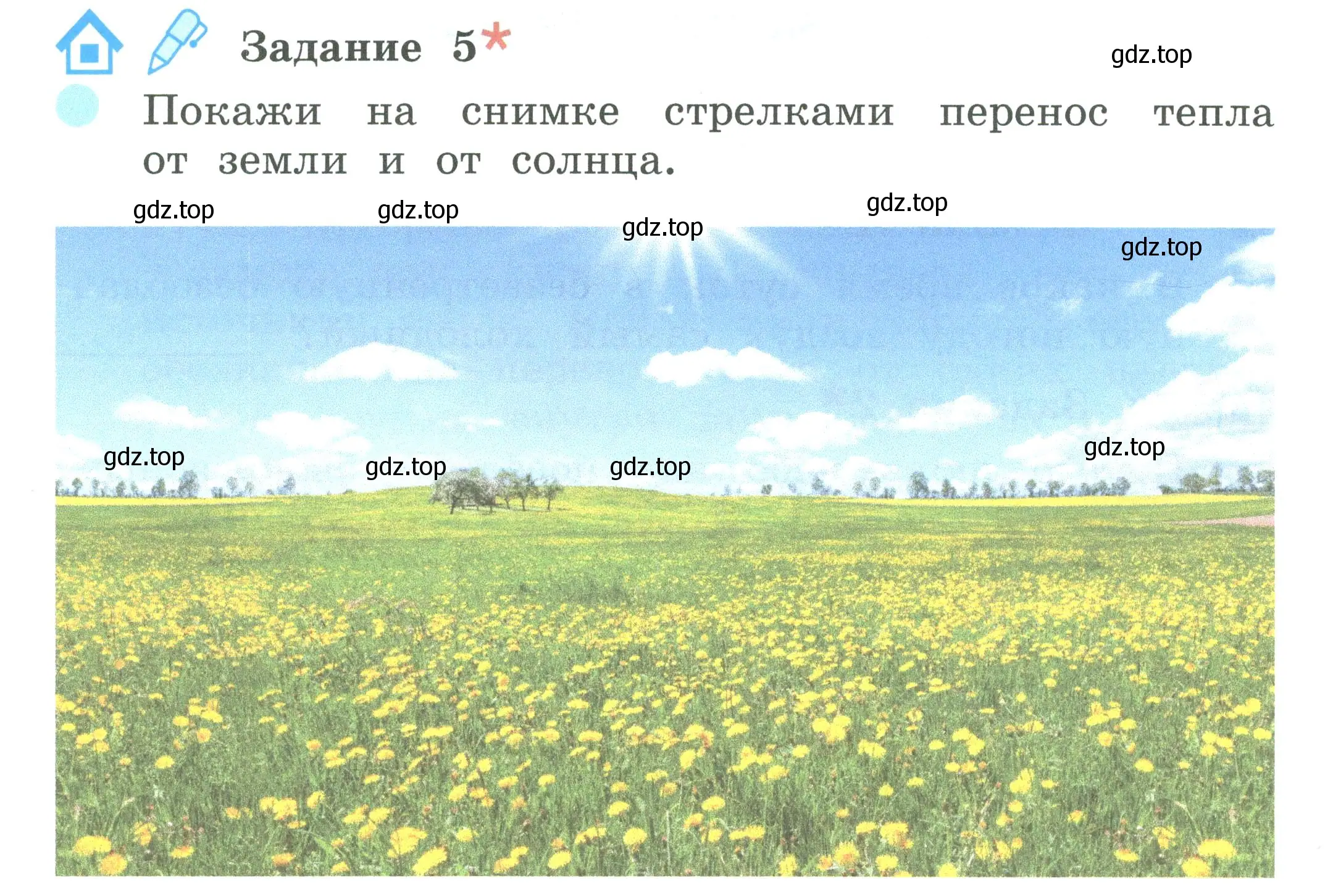 Условие номер 5 (страница 18) гдз по окружающему миру 2 класс Вахрушев, Ловягин, рабочая тетрадь 1 часть