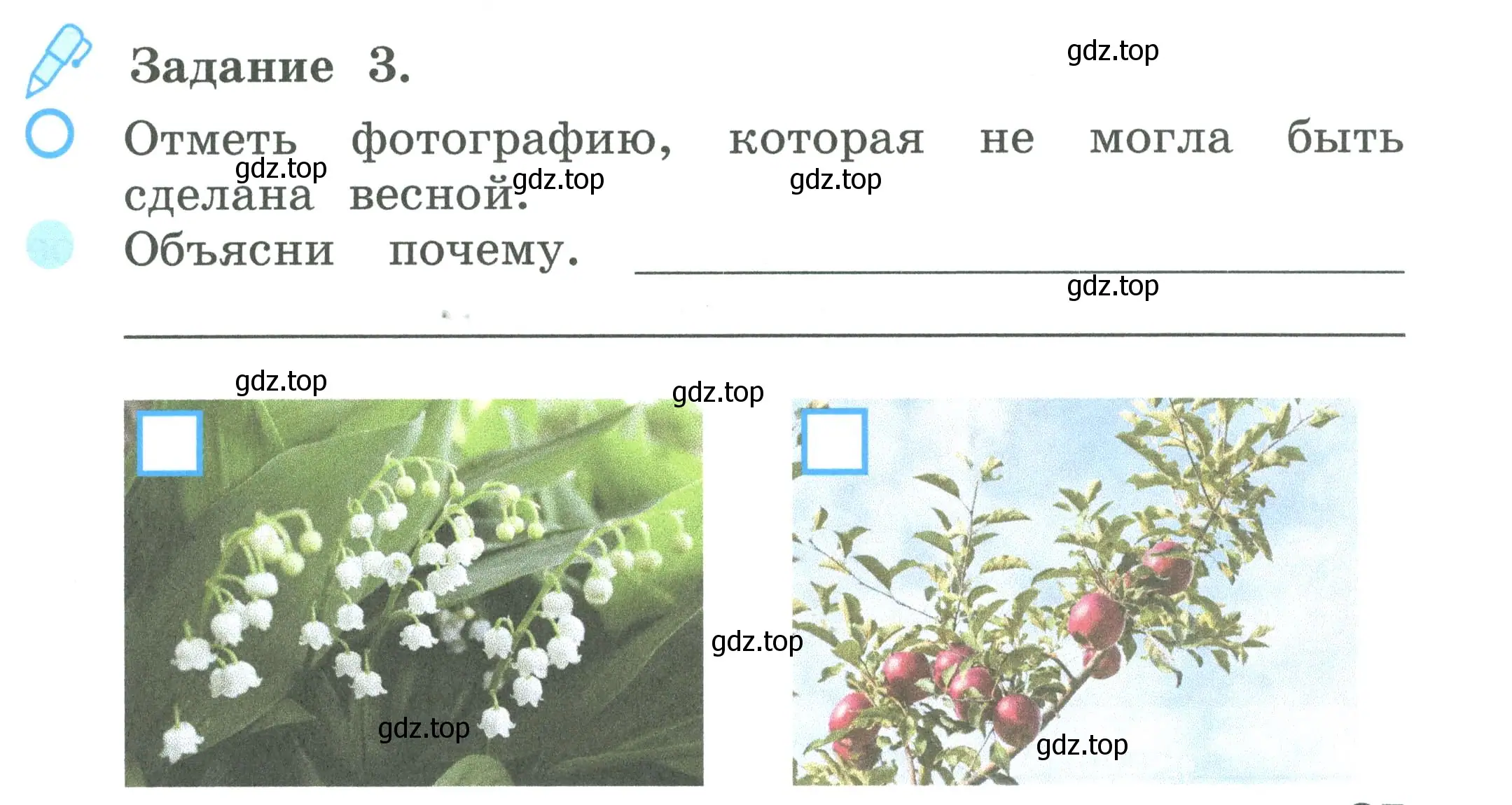 Условие номер 3 (страница 25) гдз по окружающему миру 2 класс Вахрушев, Ловягин, рабочая тетрадь 1 часть