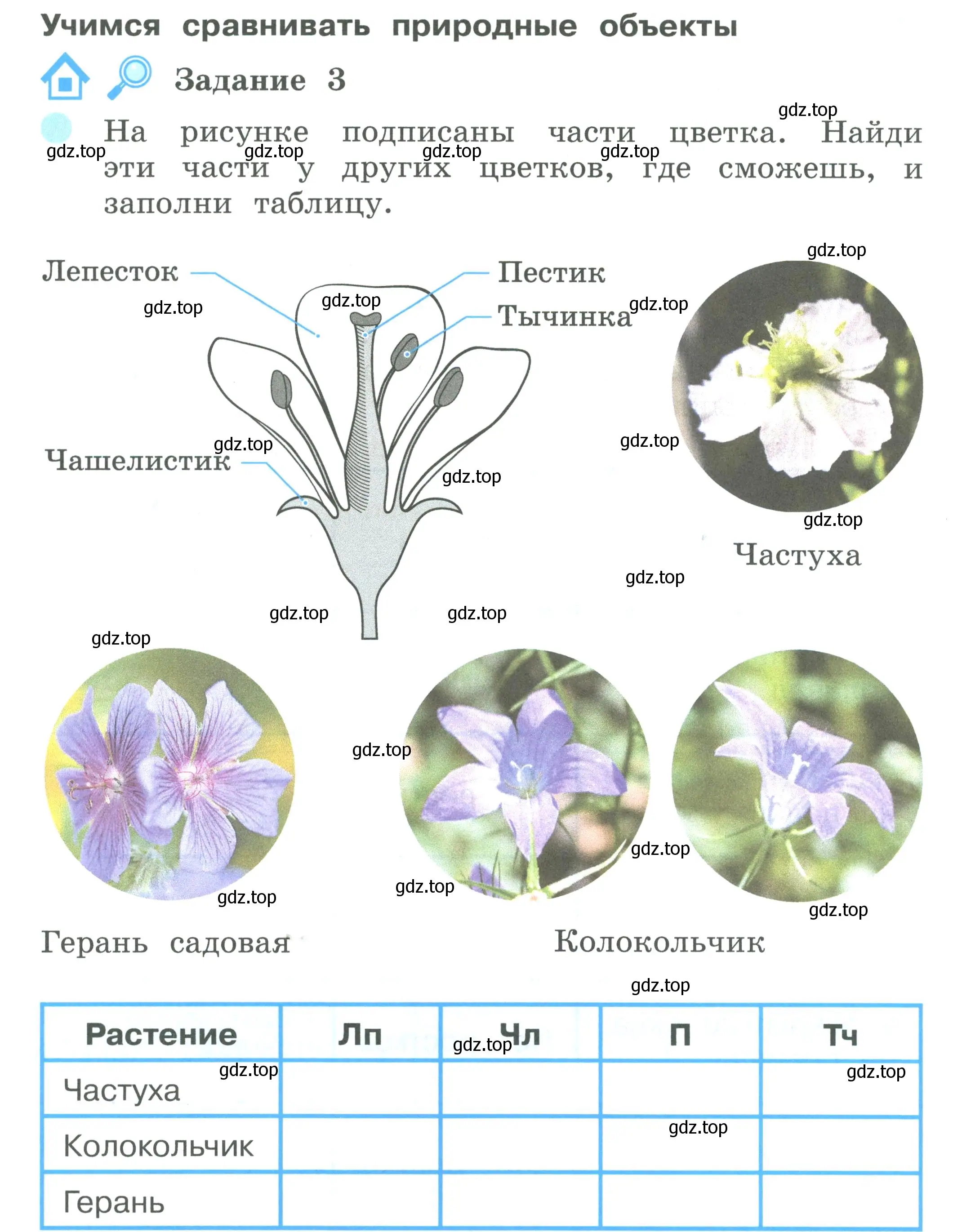 Условие номер 3 (страница 40) гдз по окружающему миру 2 класс Вахрушев, Ловягин, рабочая тетрадь 1 часть