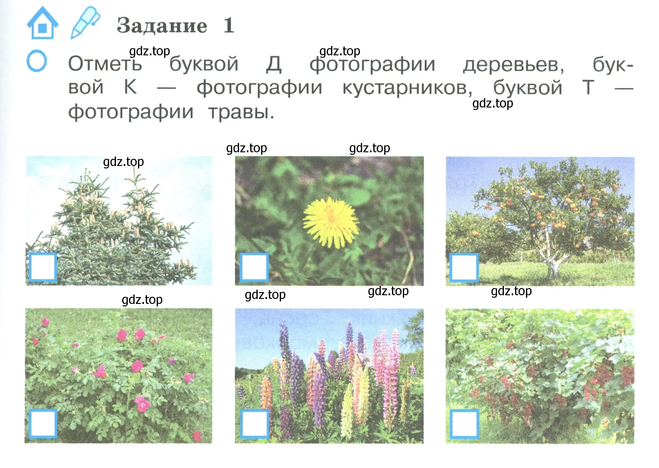 Условие номер 1 (страница 41) гдз по окружающему миру 2 класс Вахрушев, Ловягин, рабочая тетрадь 1 часть