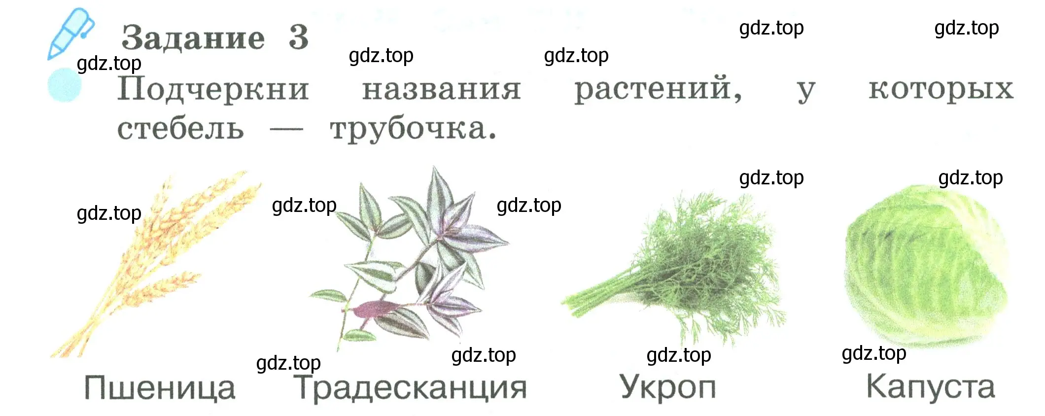 Условие номер 3 (страница 42) гдз по окружающему миру 2 класс Вахрушев, Ловягин, рабочая тетрадь 1 часть