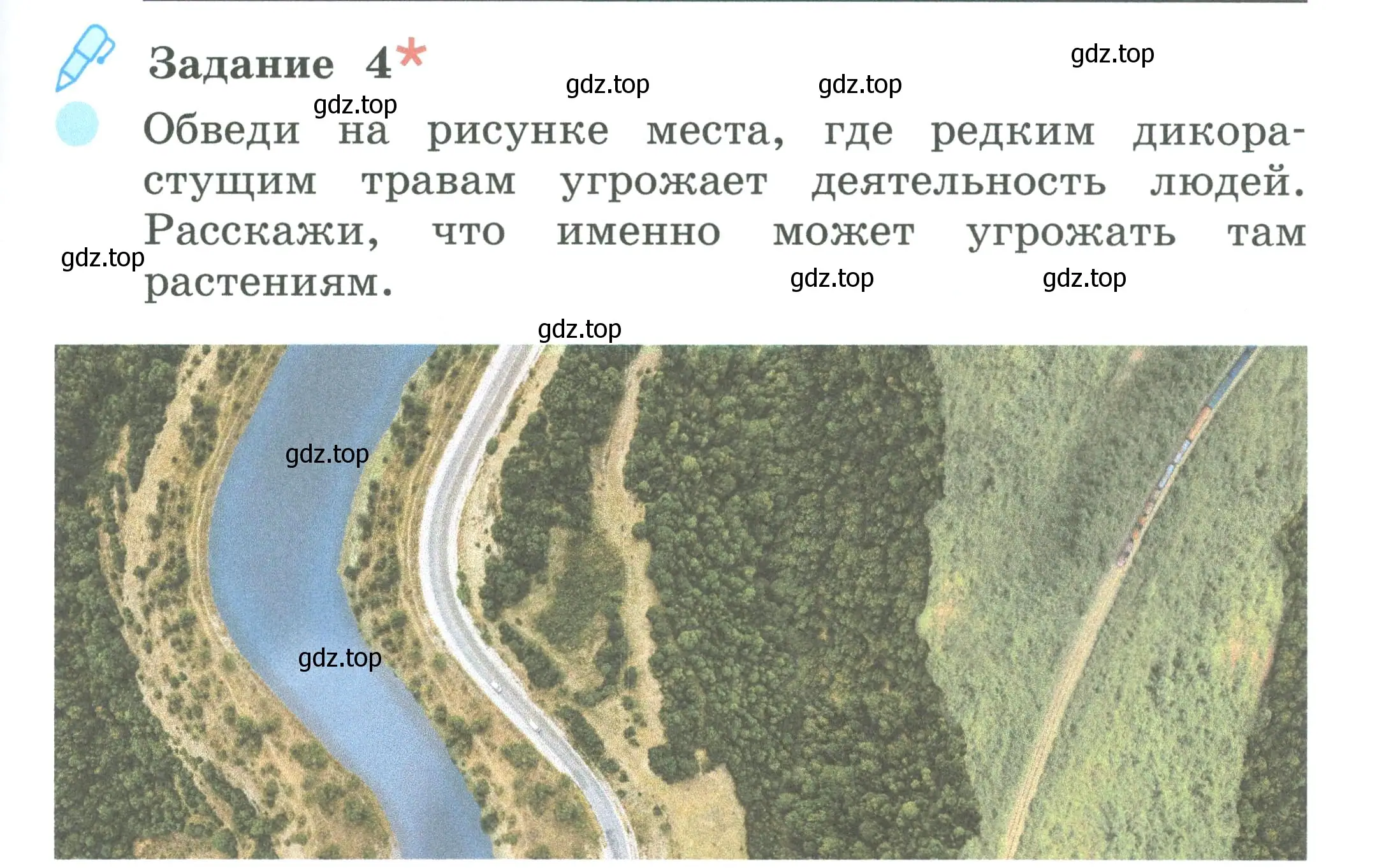 Условие номер 4 (страница 49) гдз по окружающему миру 2 класс Вахрушев, Ловягин, рабочая тетрадь 1 часть