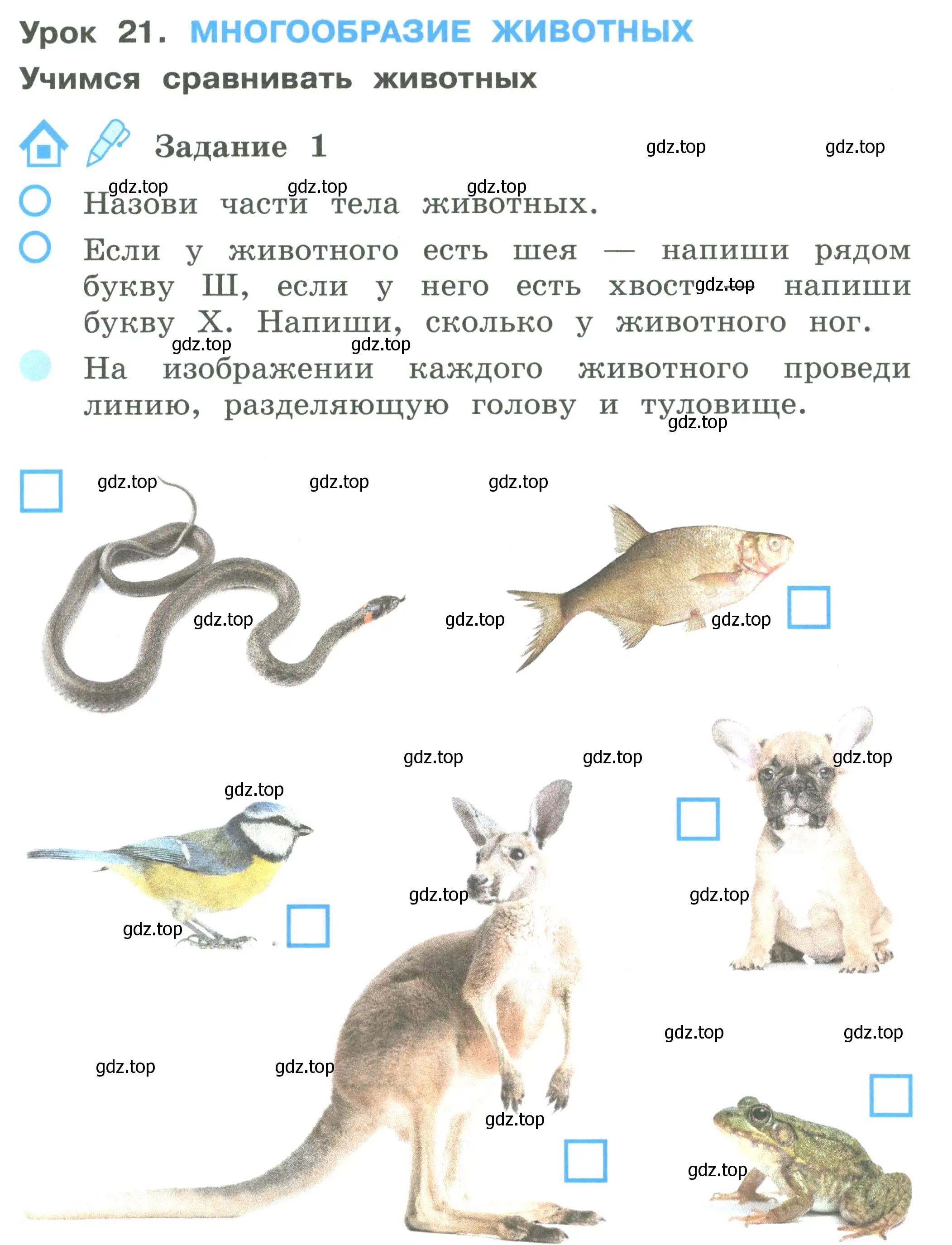 Условие номер 1 (страница 56) гдз по окружающему миру 2 класс Вахрушев, Ловягин, рабочая тетрадь 1 часть