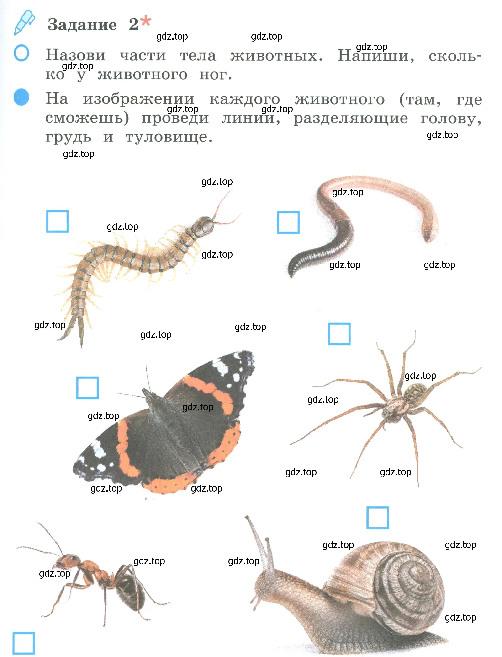 Условие номер 2 (страница 57) гдз по окружающему миру 2 класс Вахрушев, Ловягин, рабочая тетрадь 1 часть