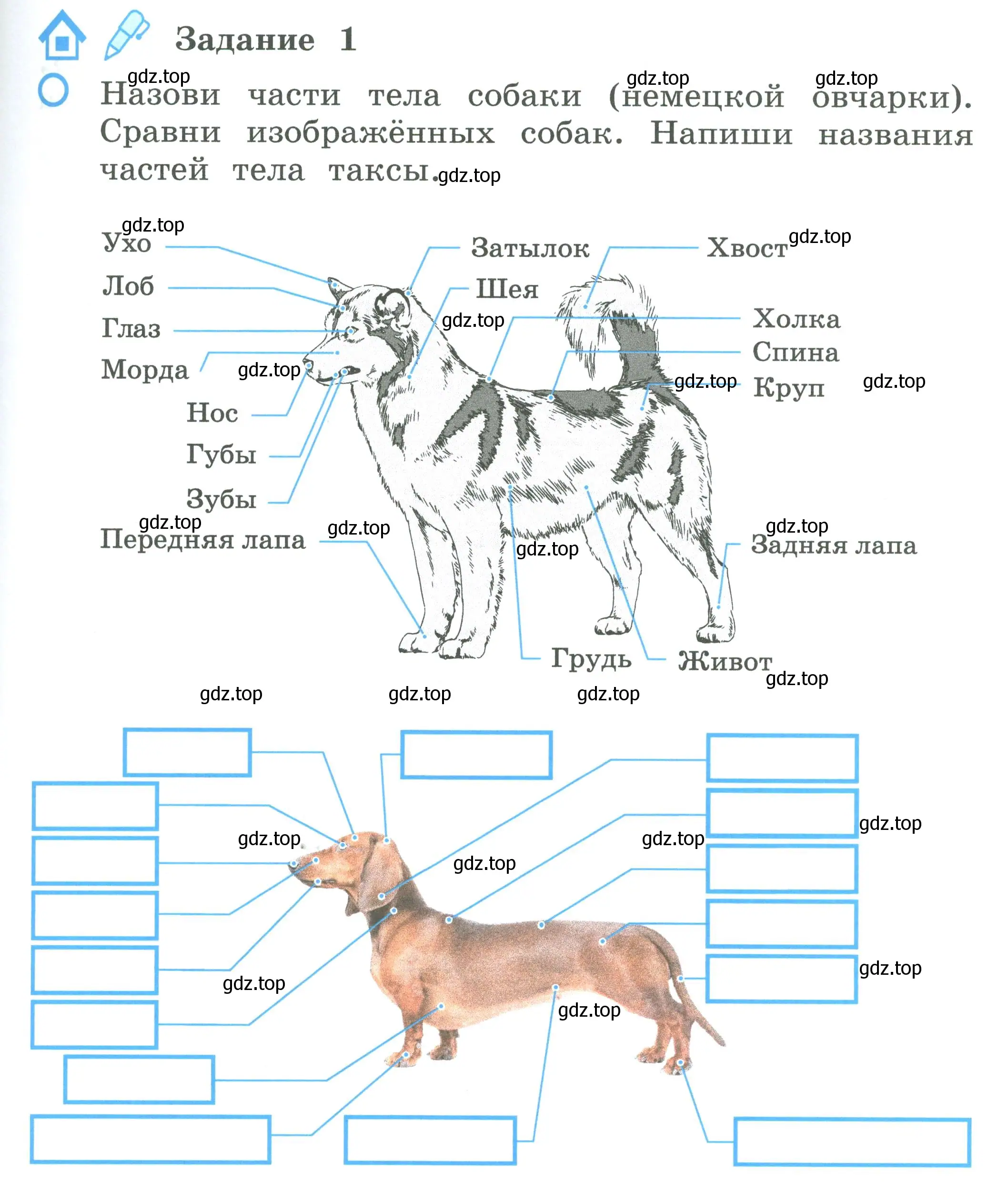 Условие номер 1 (страница 69) гдз по окружающему миру 2 класс Вахрушев, Ловягин, рабочая тетрадь 1 часть