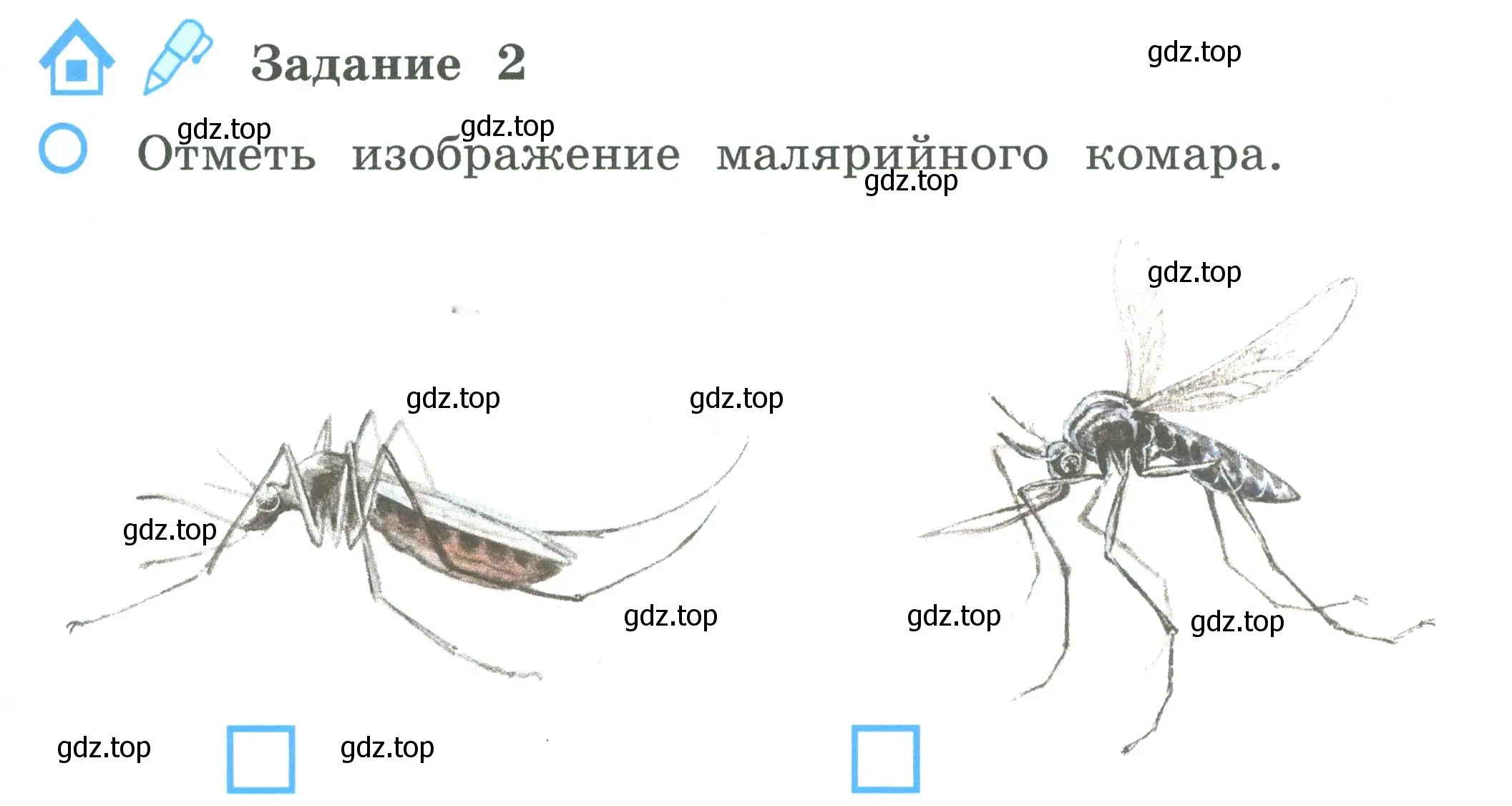 Условие номер 2 (страница 71) гдз по окружающему миру 2 класс Вахрушев, Ловягин, рабочая тетрадь 1 часть