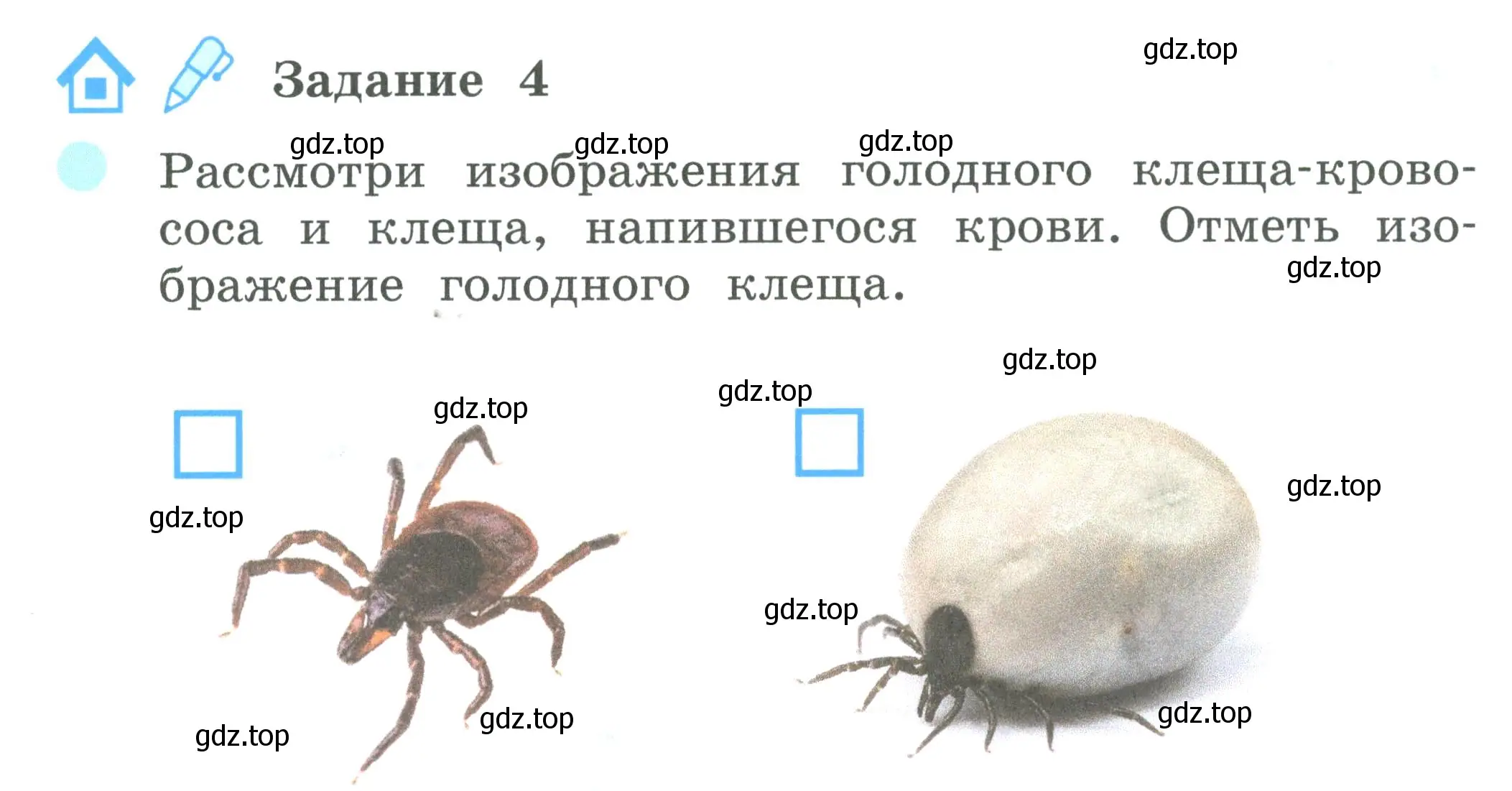 Условие номер 4 (страница 72) гдз по окружающему миру 2 класс Вахрушев, Ловягин, рабочая тетрадь 1 часть