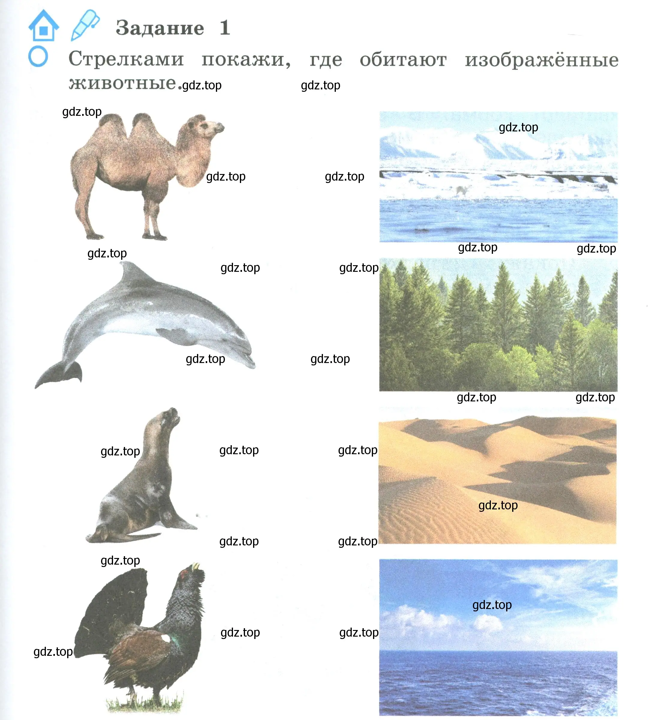 Условие номер 1 (страница 75) гдз по окружающему миру 2 класс Вахрушев, Ловягин, рабочая тетрадь 1 часть