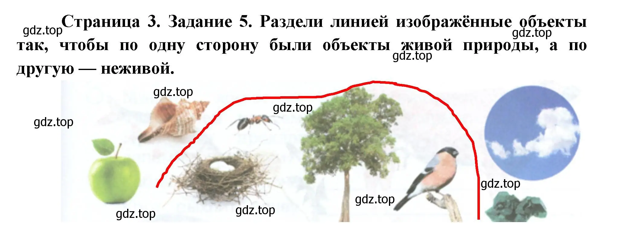 Решение номер 5 (страница 3) гдз по окружающему миру 2 класс Вахрушев, Ловягин, рабочая тетрадь 1 часть