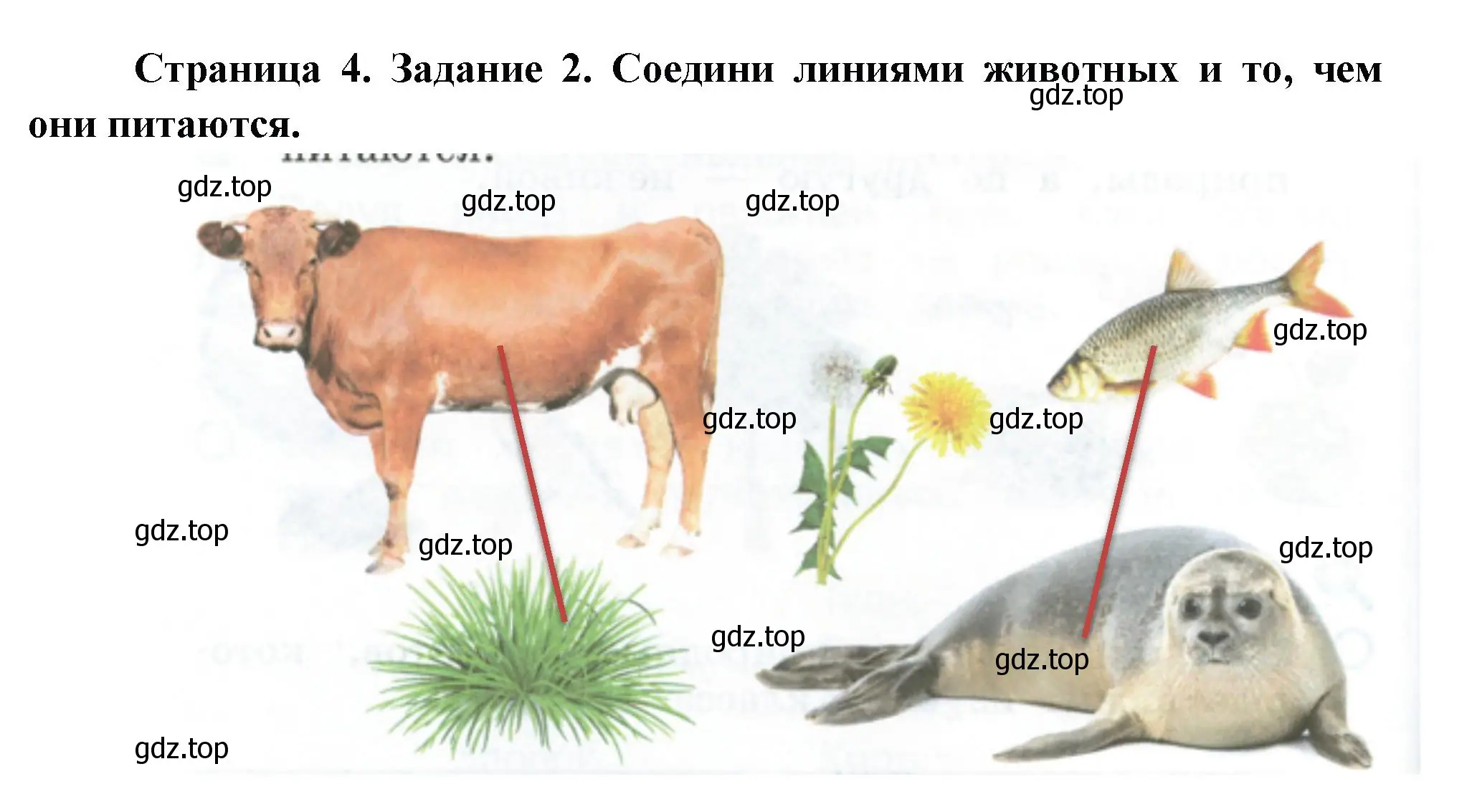 Решение номер 2 (страница 4) гдз по окружающему миру 2 класс Вахрушев, Ловягин, рабочая тетрадь 1 часть