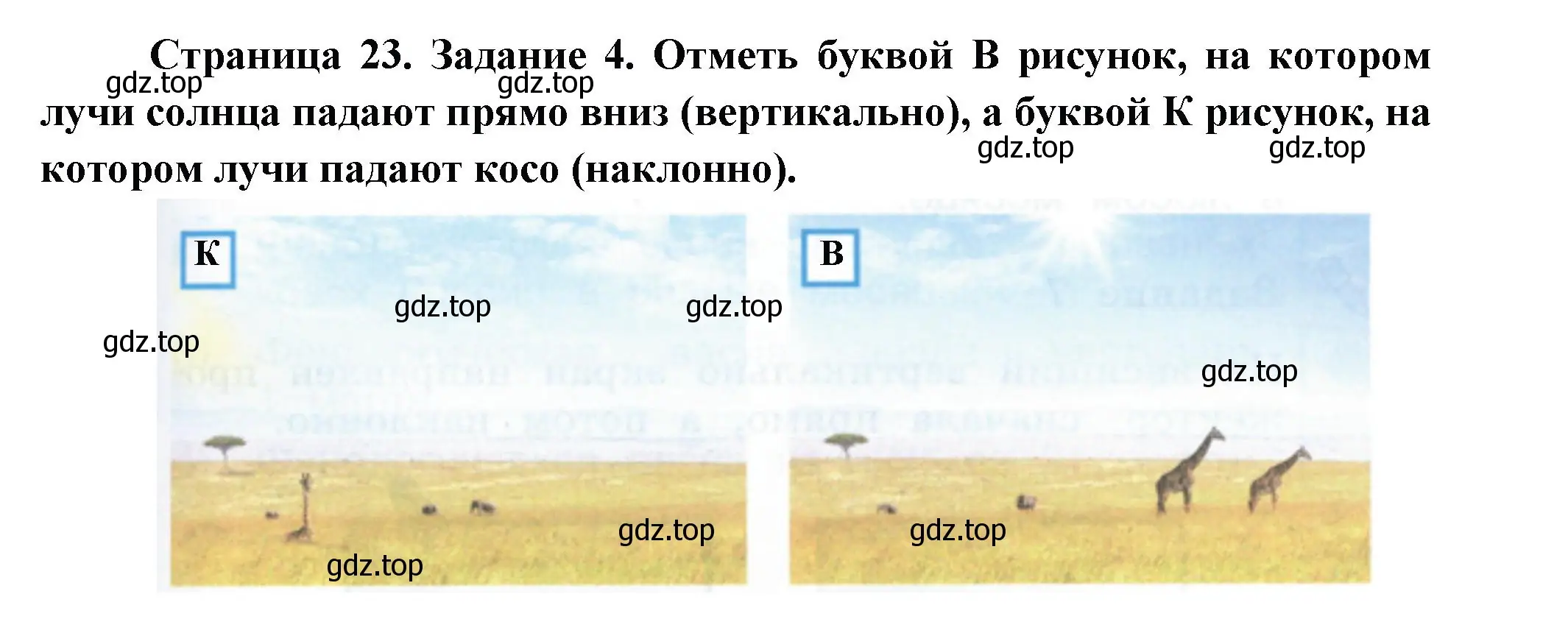 Решение номер 4 (страница 23) гдз по окружающему миру 2 класс Вахрушев, Ловягин, рабочая тетрадь 1 часть