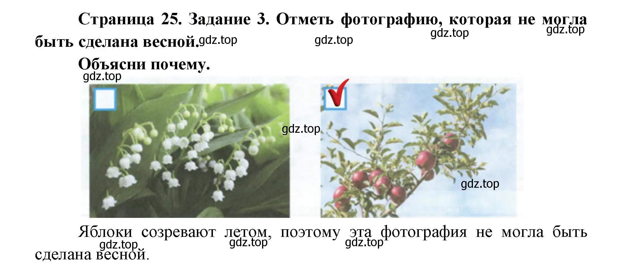 Решение номер 3 (страница 25) гдз по окружающему миру 2 класс Вахрушев, Ловягин, рабочая тетрадь 1 часть