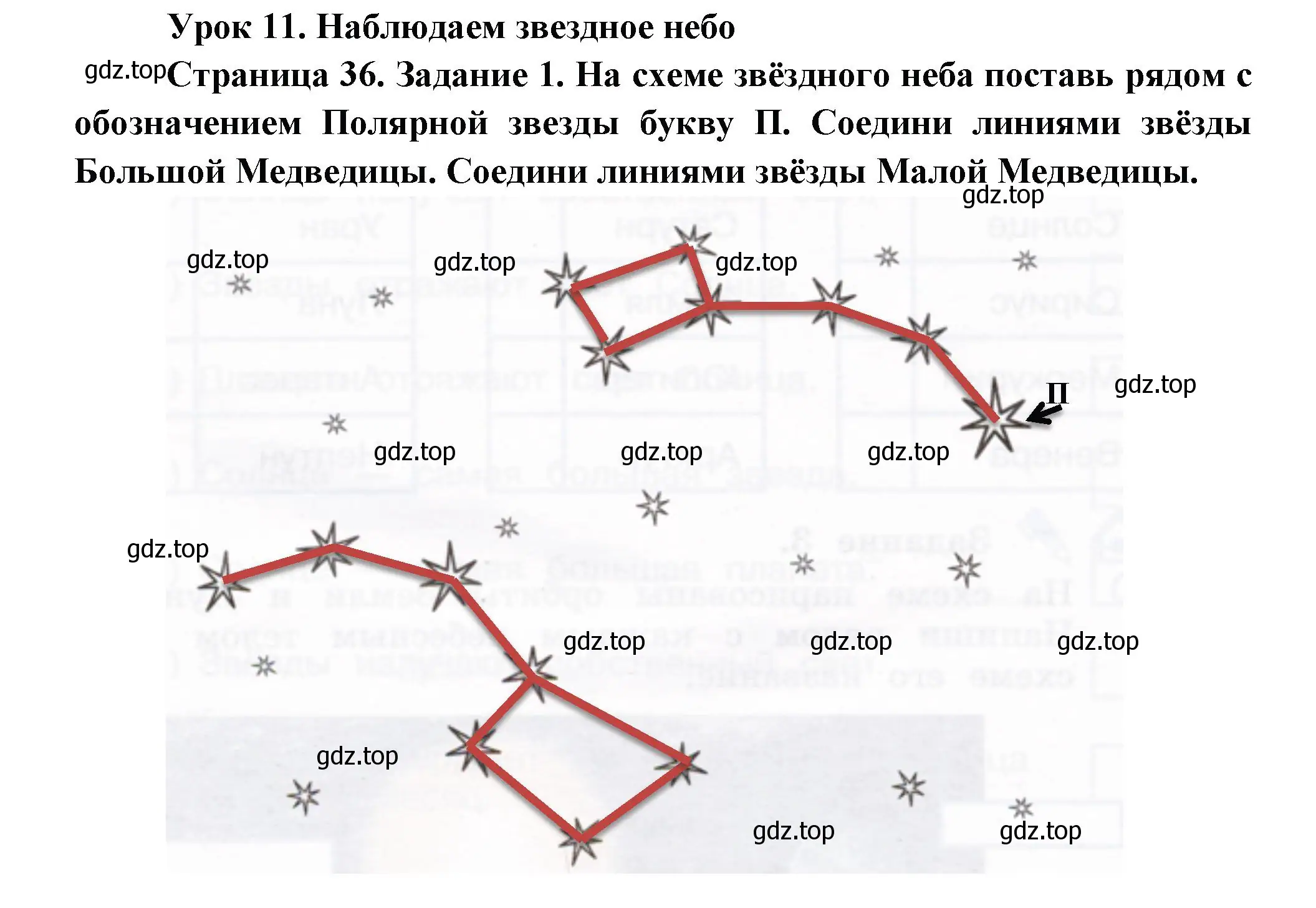 Решение номер 1 (страница 36) гдз по окружающему миру 2 класс Вахрушев, Ловягин, рабочая тетрадь 1 часть