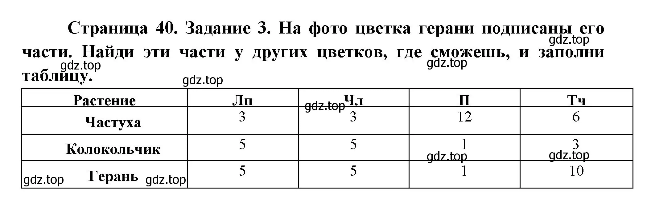 Решение номер 3 (страница 40) гдз по окружающему миру 2 класс Вахрушев, Ловягин, рабочая тетрадь 1 часть