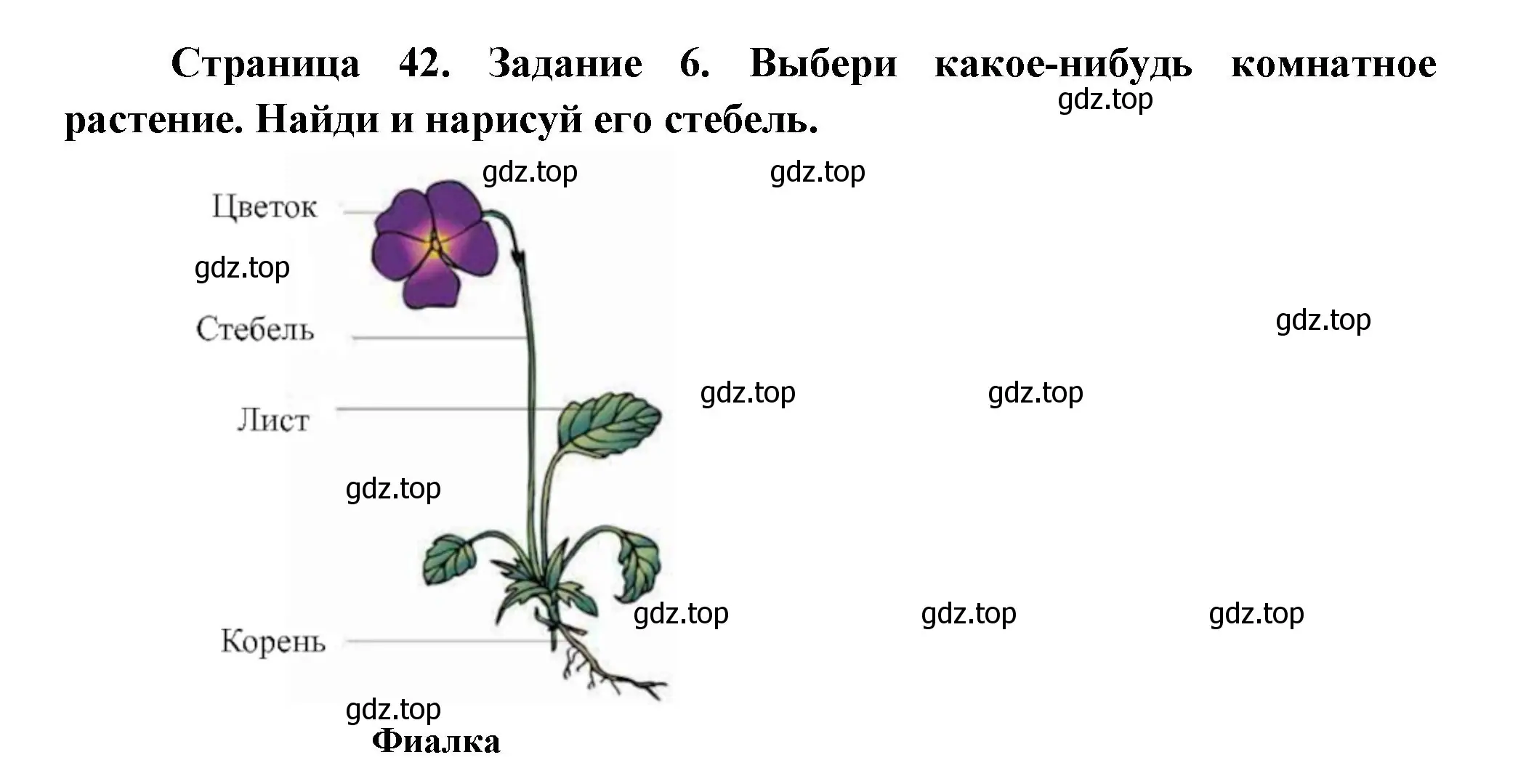 Решение номер 6 (страница 42) гдз по окружающему миру 2 класс Вахрушев, Ловягин, рабочая тетрадь 1 часть