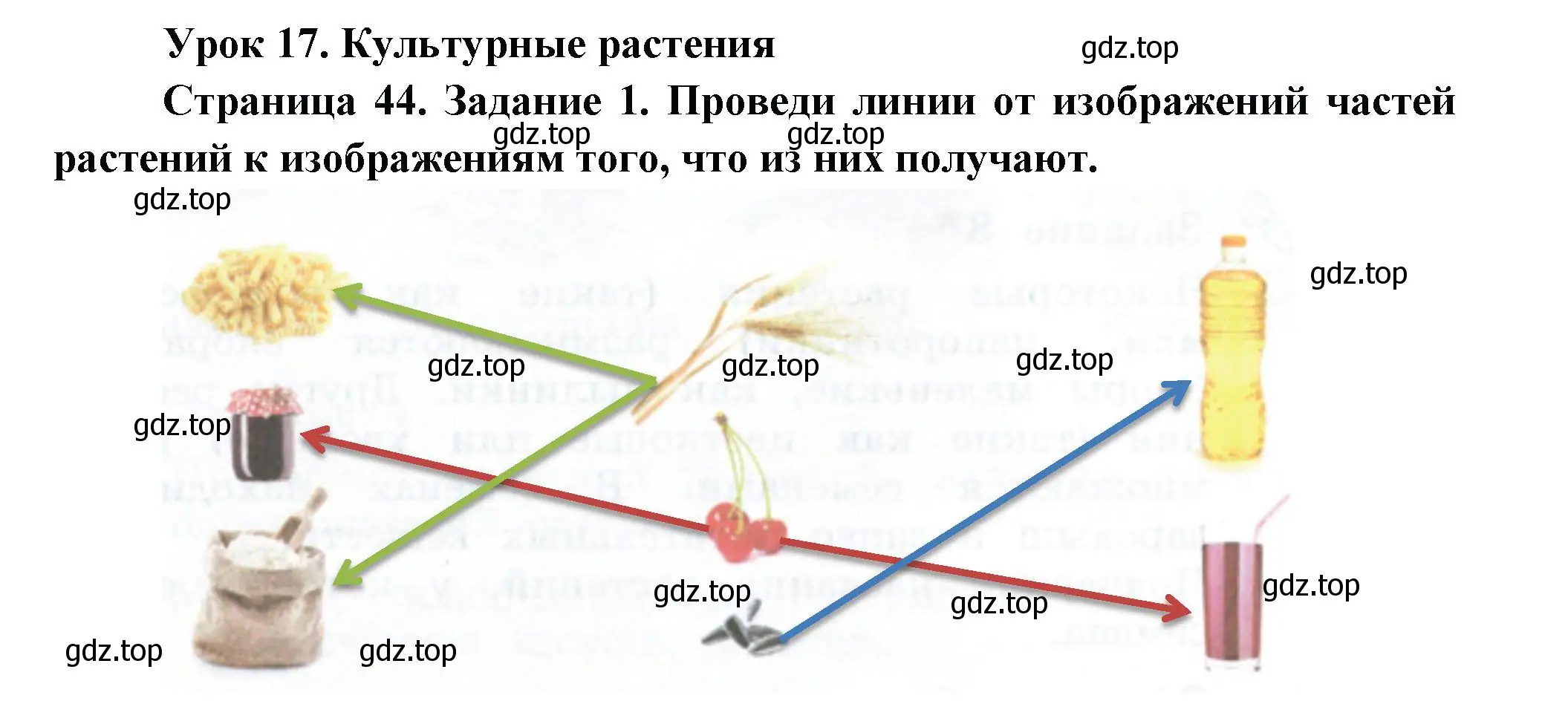 Решение номер 1 (страница 44) гдз по окружающему миру 2 класс Вахрушев, Ловягин, рабочая тетрадь 1 часть