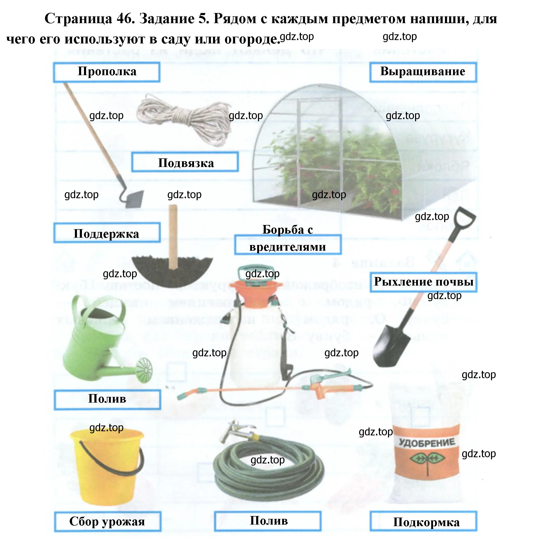 Решение номер 5 (страница 46) гдз по окружающему миру 2 класс Вахрушев, Ловягин, рабочая тетрадь 1 часть