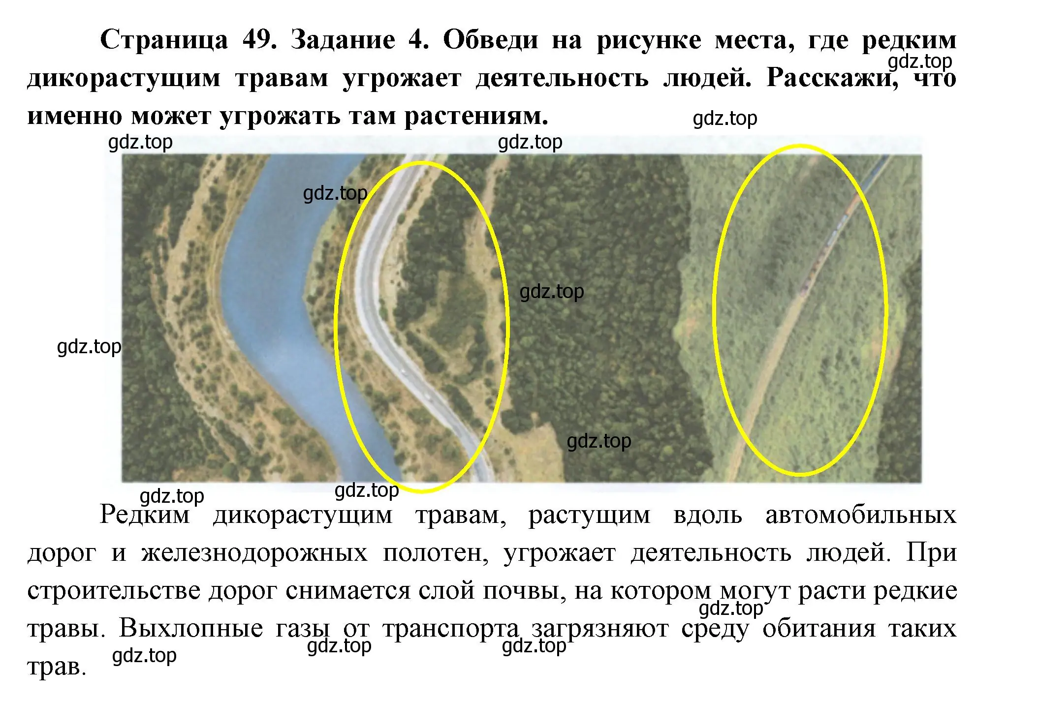 Решение номер 4 (страница 49) гдз по окружающему миру 2 класс Вахрушев, Ловягин, рабочая тетрадь 1 часть