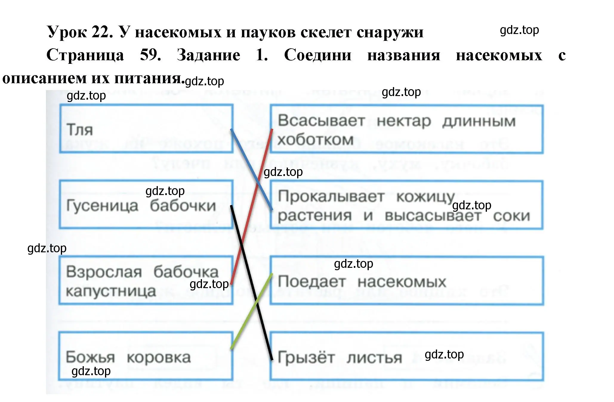 Решение номер 1 (страница 59) гдз по окружающему миру 2 класс Вахрушев, Ловягин, рабочая тетрадь 1 часть