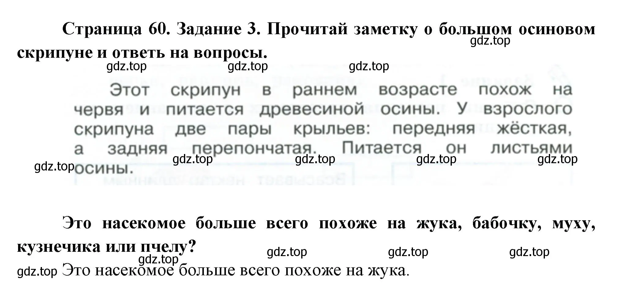 Решение номер 3 (страница 60) гдз по окружающему миру 2 класс Вахрушев, Ловягин, рабочая тетрадь 1 часть