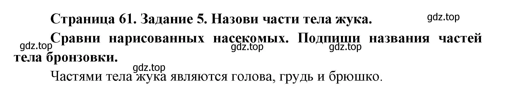 Решение номер 5 (страница 61) гдз по окружающему миру 2 класс Вахрушев, Ловягин, рабочая тетрадь 1 часть