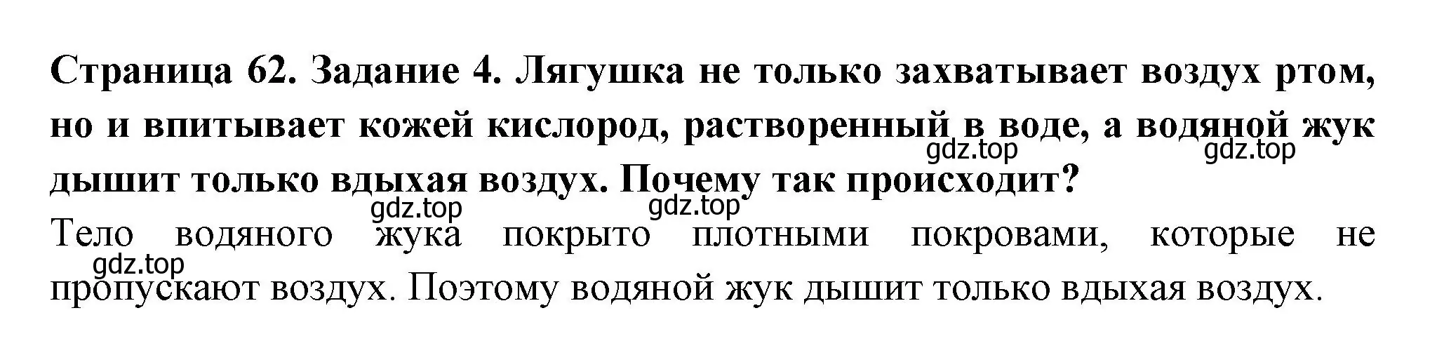 Решение номер 4 (страница 62) гдз по окружающему миру 2 класс Вахрушев, Ловягин, рабочая тетрадь 1 часть