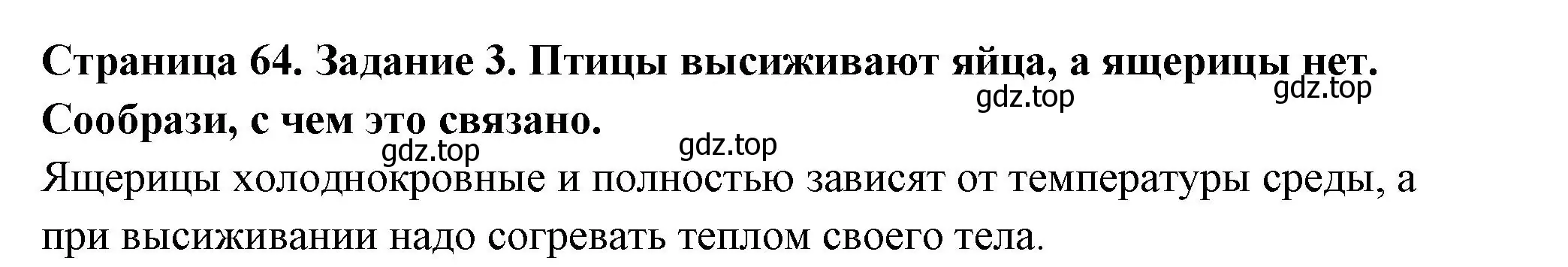 Решение номер 3 (страница 64) гдз по окружающему миру 2 класс Вахрушев, Ловягин, рабочая тетрадь 1 часть