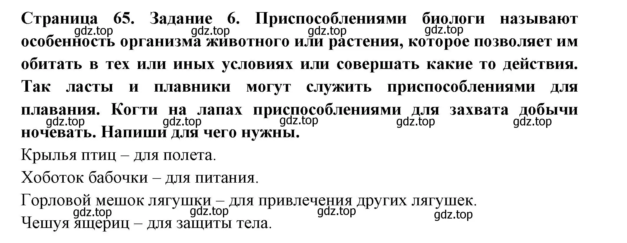 Решение номер 6 (страница 65) гдз по окружающему миру 2 класс Вахрушев, Ловягин, рабочая тетрадь 1 часть