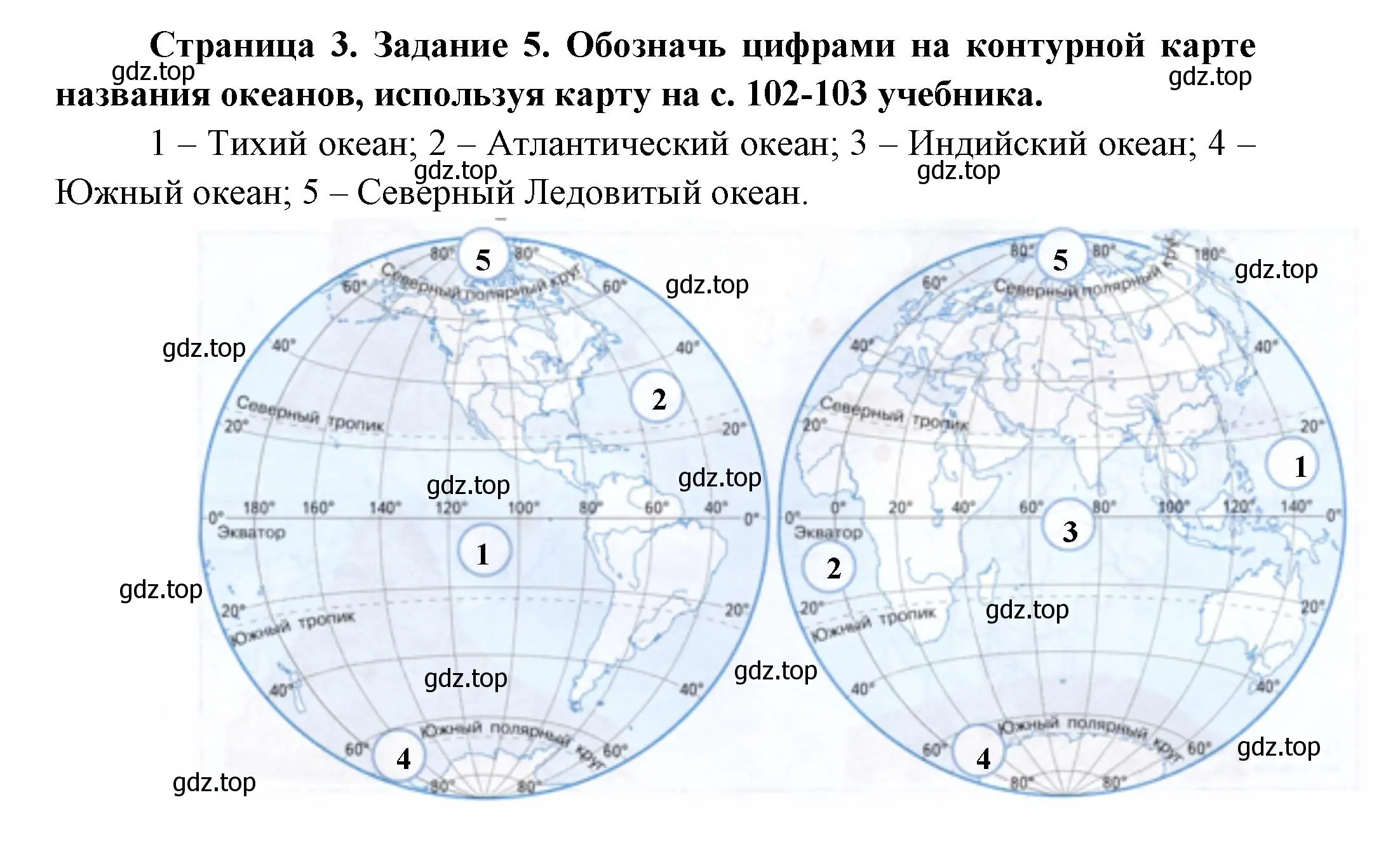 Решение номер 5 (страница 3) гдз по окружающему миру 2 класс Вахрушев, Ловягин, рабочая тетрадь 2 часть