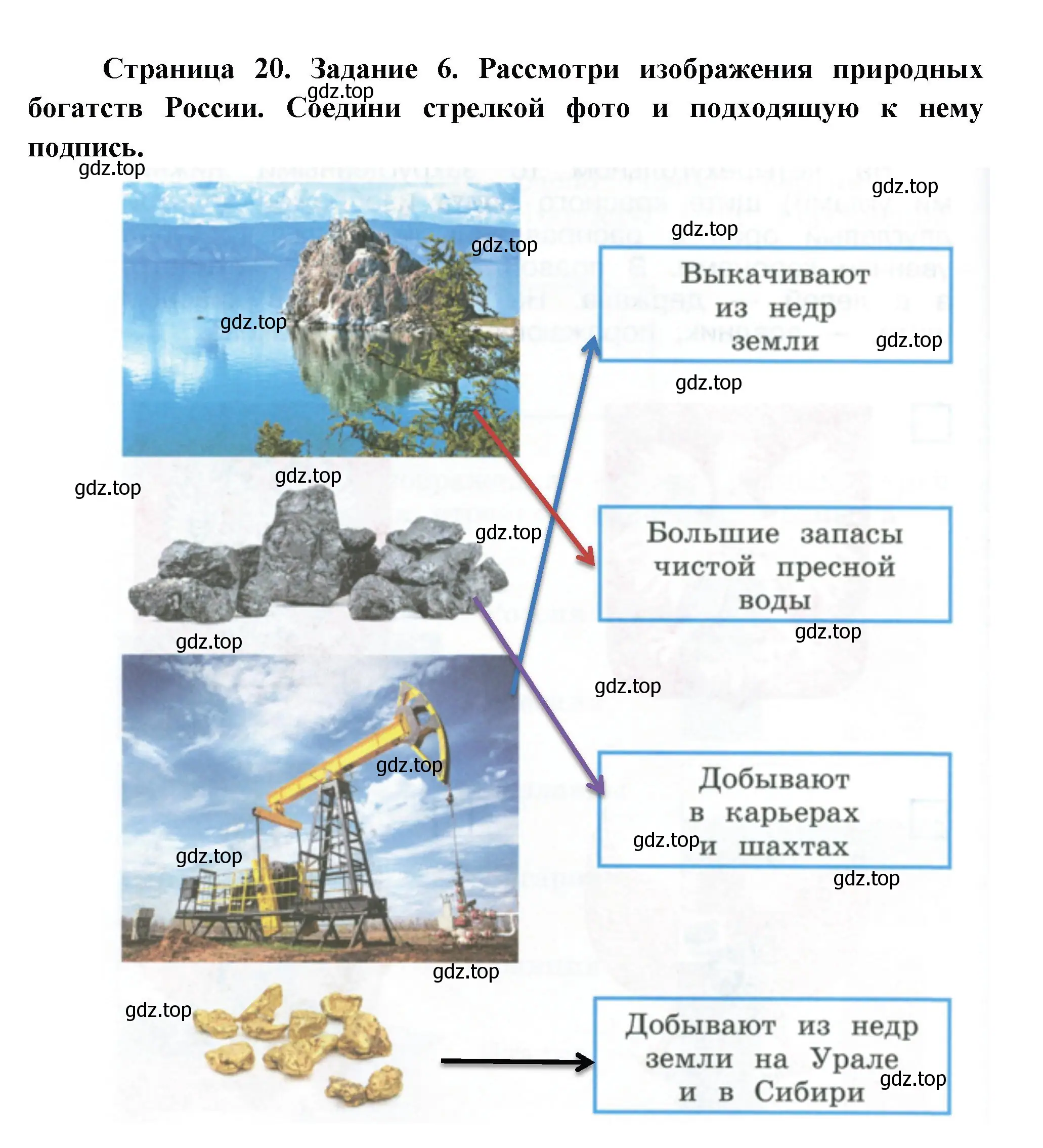 Решение номер 6 (страница 20) гдз по окружающему миру 2 класс Вахрушев, Ловягин, рабочая тетрадь 2 часть