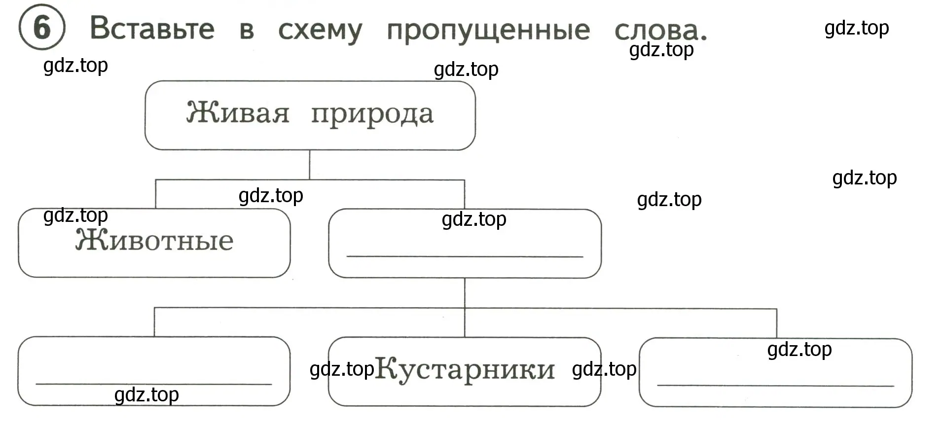 Условие номер 6 (страница 5) гдз по окружающему миру 3 класс Глаголева, Архипова, предварителный, текущий, итоговый контроль