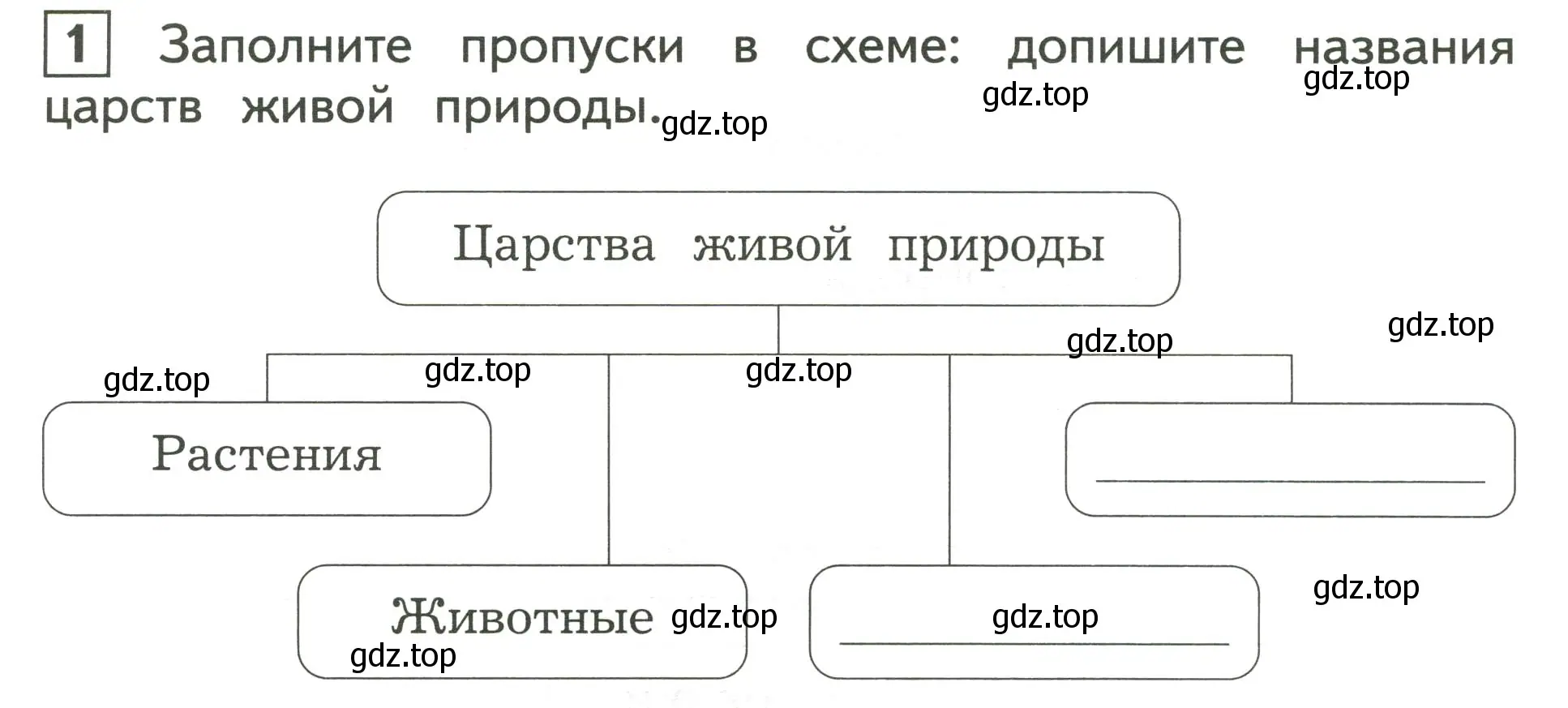 Условие номер 1 (страница 6) гдз по окружающему миру 3 класс Глаголева, Архипова, предварителный, текущий, итоговый контроль