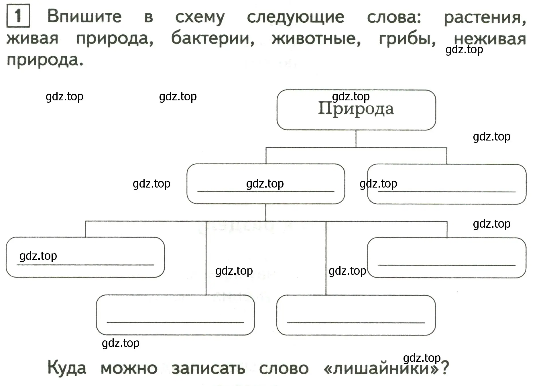 Условие номер 1 (страница 10) гдз по окружающему миру 3 класс Глаголева, Архипова, предварителный, текущий, итоговый контроль