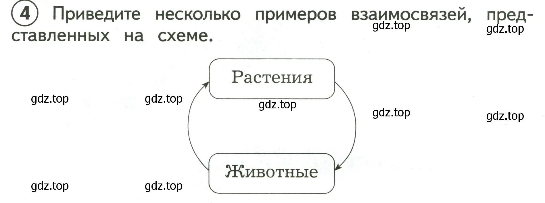 Условие номер 4 (страница 12) гдз по окружающему миру 3 класс Глаголева, Архипова, предварителный, текущий, итоговый контроль