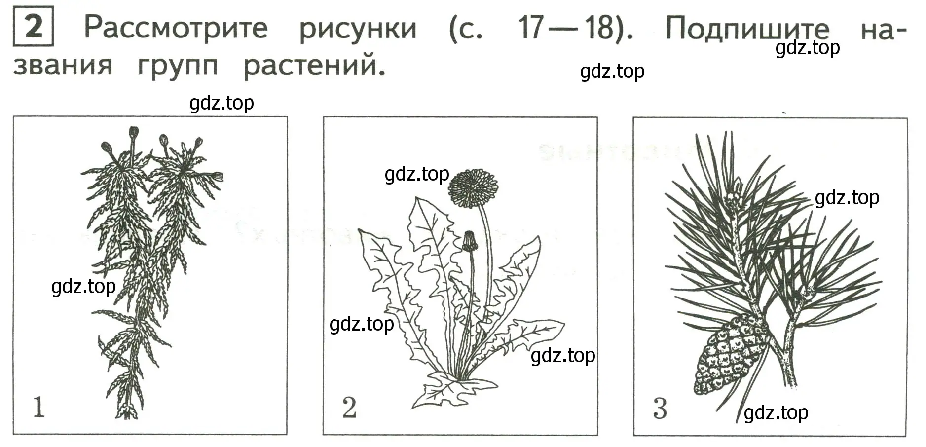 Условие номер 2 (страница 17) гдз по окружающему миру 3 класс Глаголева, Архипова, предварителный, текущий, итоговый контроль