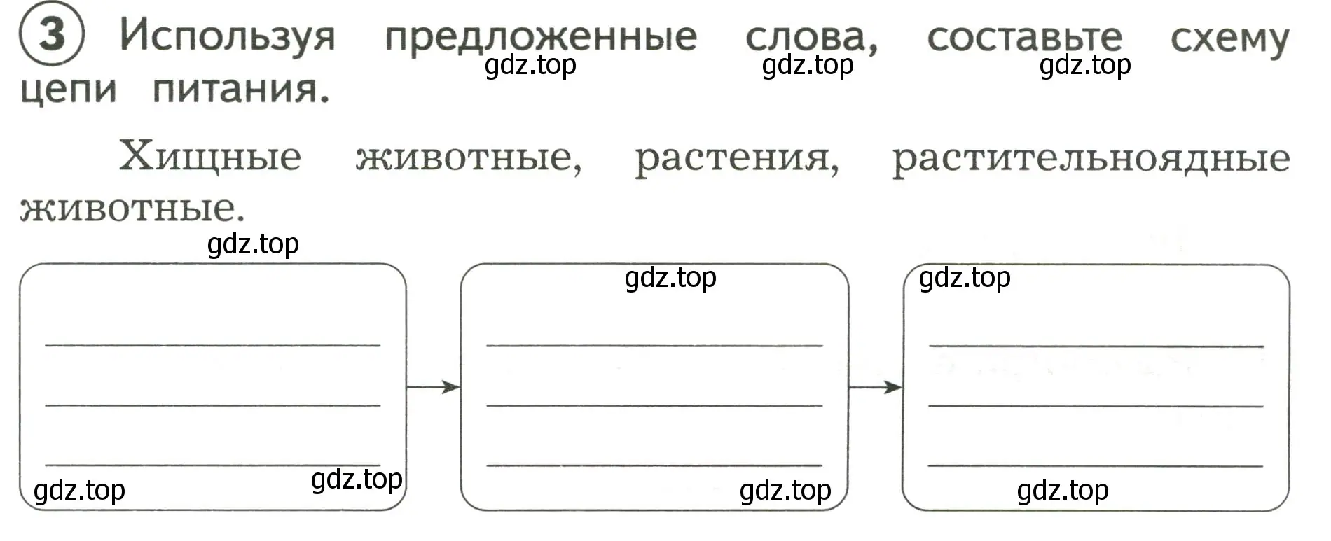 Условие номер 3 (страница 19) гдз по окружающему миру 3 класс Глаголева, Архипова, предварителный, текущий, итоговый контроль
