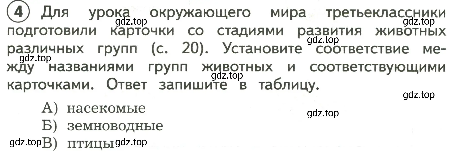 Условие номер 4 (страница 19) гдз по окружающему миру 3 класс Глаголева, Архипова, предварителный, текущий, итоговый контроль