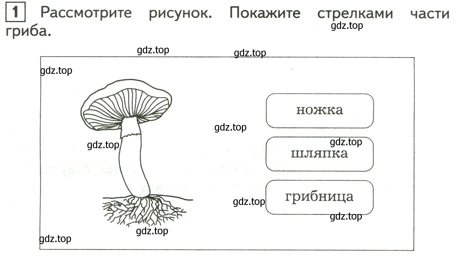 Условие номер 1 (страница 20) гдз по окружающему миру 3 класс Глаголева, Архипова, предварителный, текущий, итоговый контроль