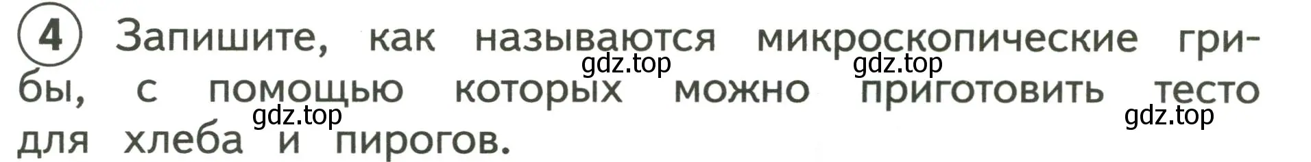 Условие номер 4 (страница 21) гдз по окружающему миру 3 класс Глаголева, Архипова, предварителный, текущий, итоговый контроль