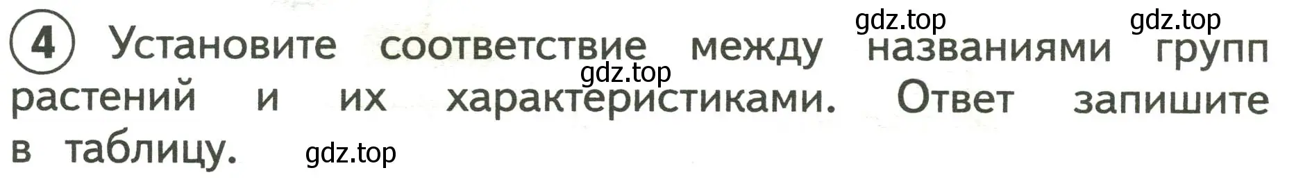 Условие номер 4 (страница 24) гдз по окружающему миру 3 класс Глаголева, Архипова, предварителный, текущий, итоговый контроль