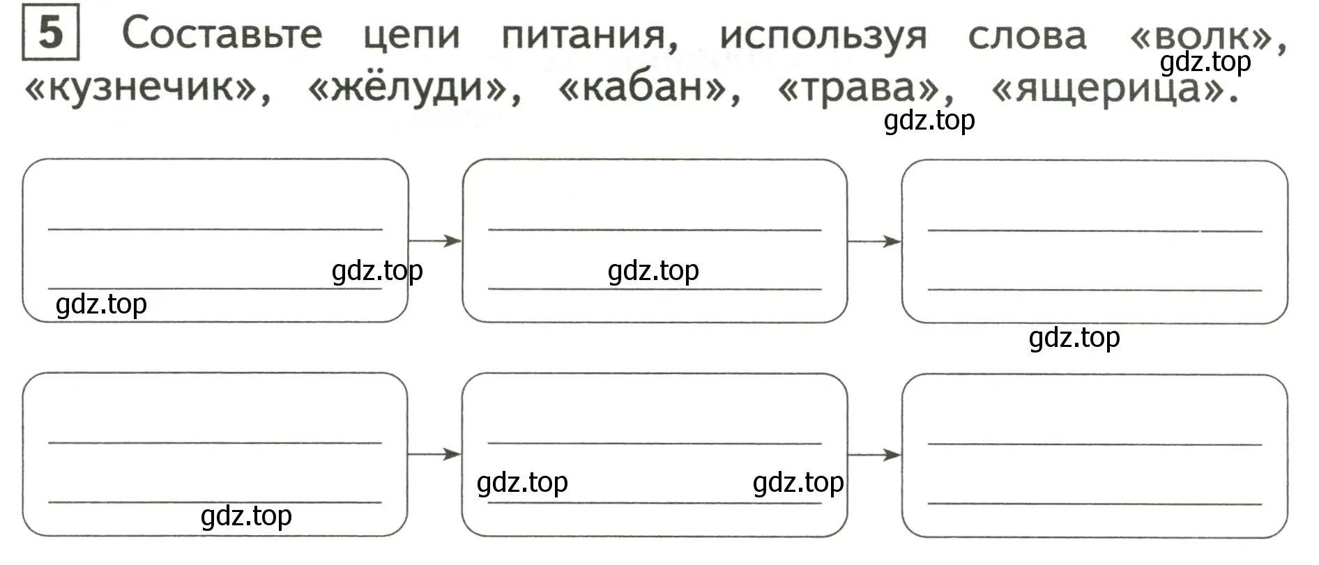 Условие номер 5 (страница 25) гдз по окружающему миру 3 класс Глаголева, Архипова, предварителный, текущий, итоговый контроль